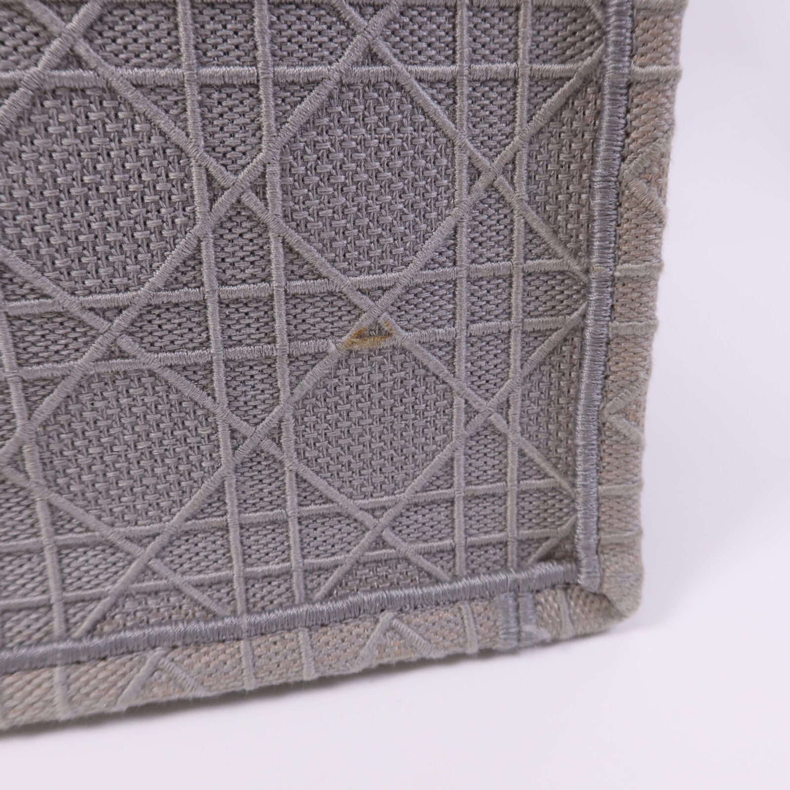 Dior 帆布Book Tote Bag手挽袋