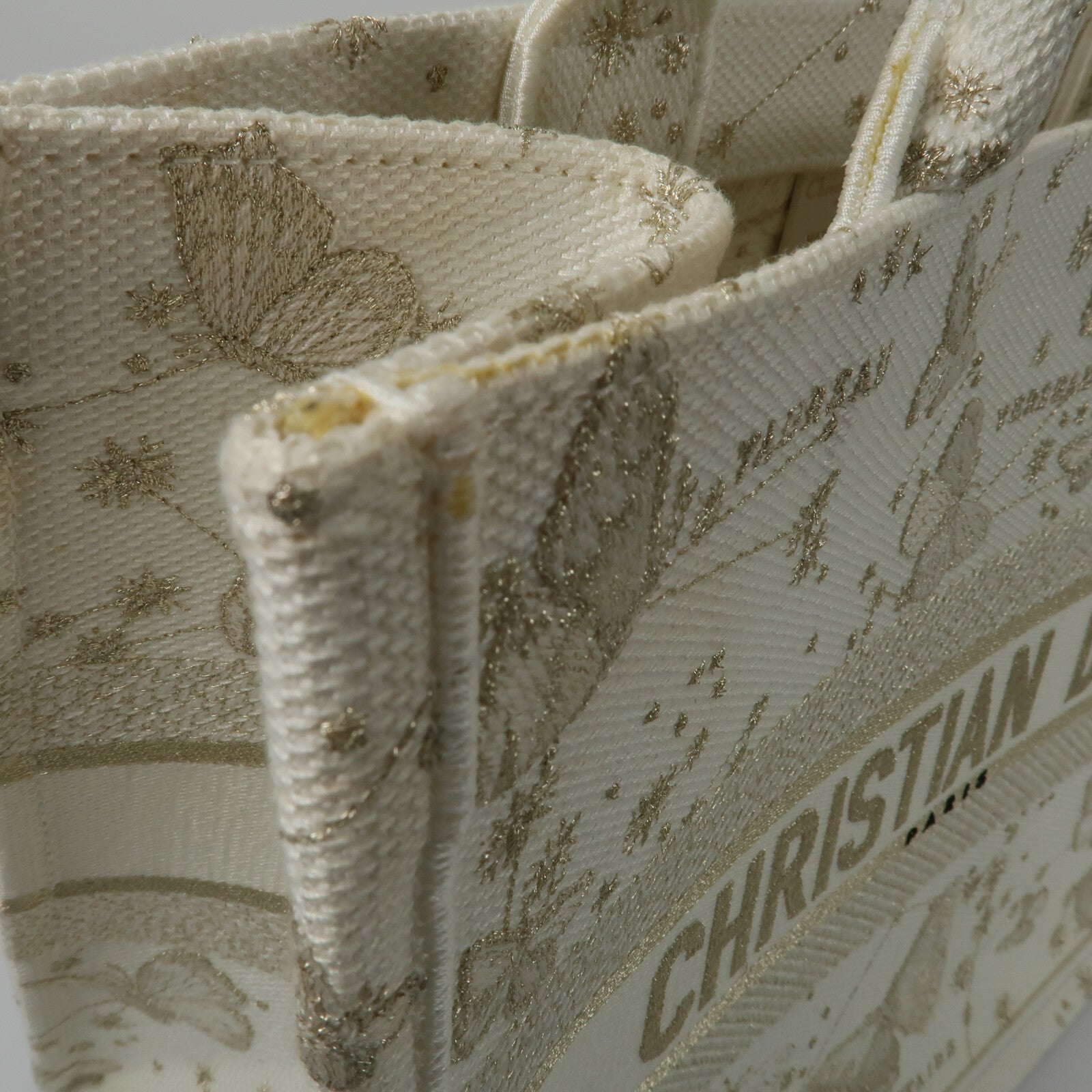 Dior 帆布Book Tote Medium手挽袋