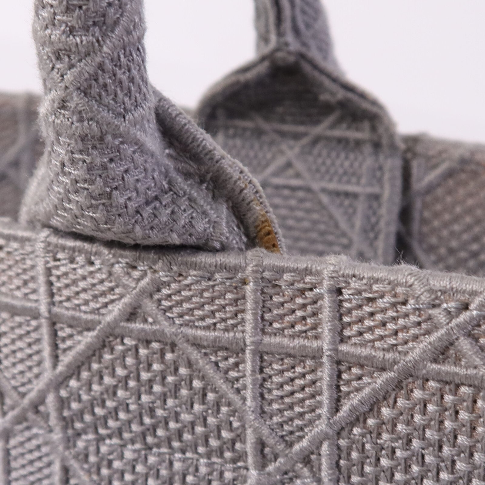 Dior 帆布Book Tote Bag手挽袋