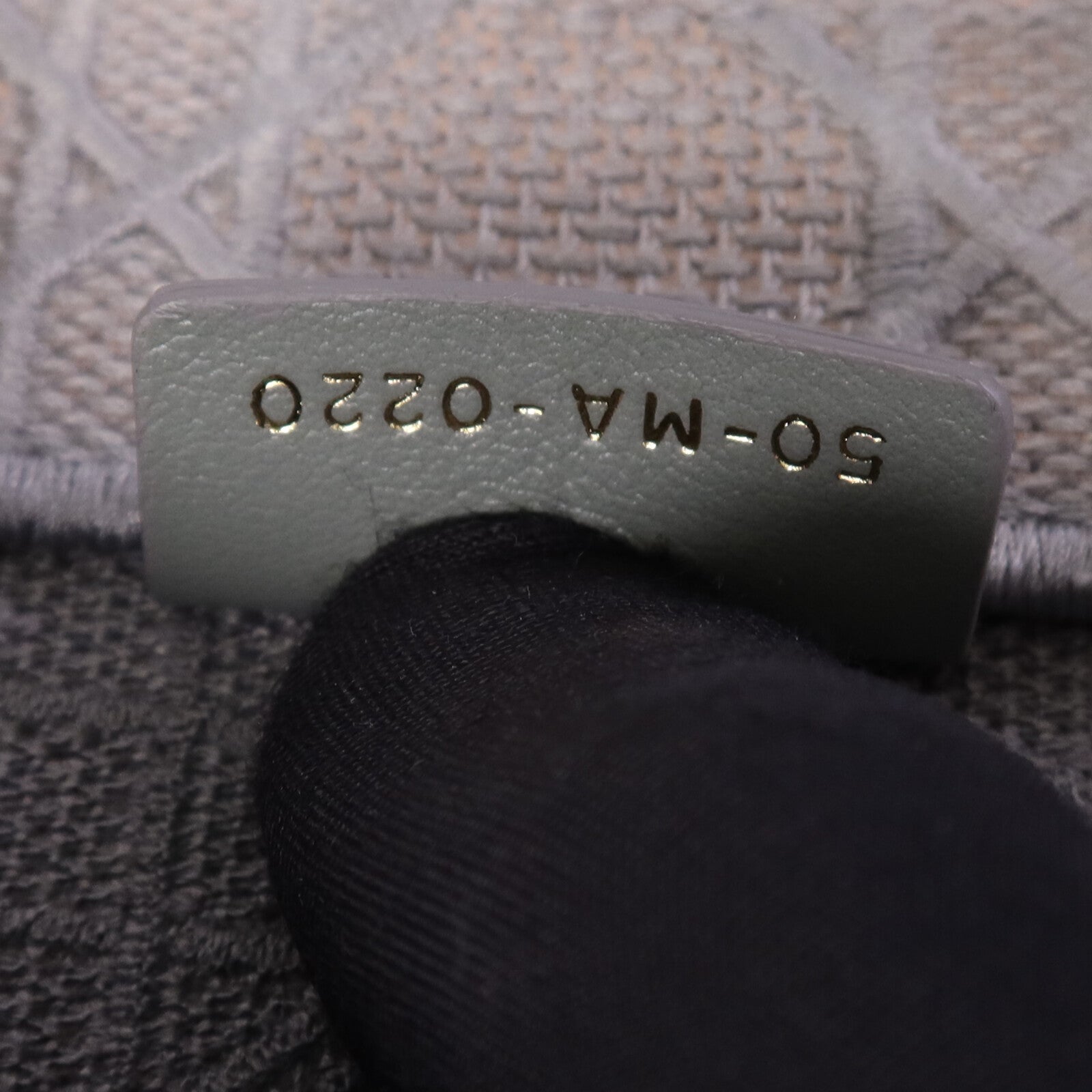 Dior 帆布Book Tote Bag手挽袋