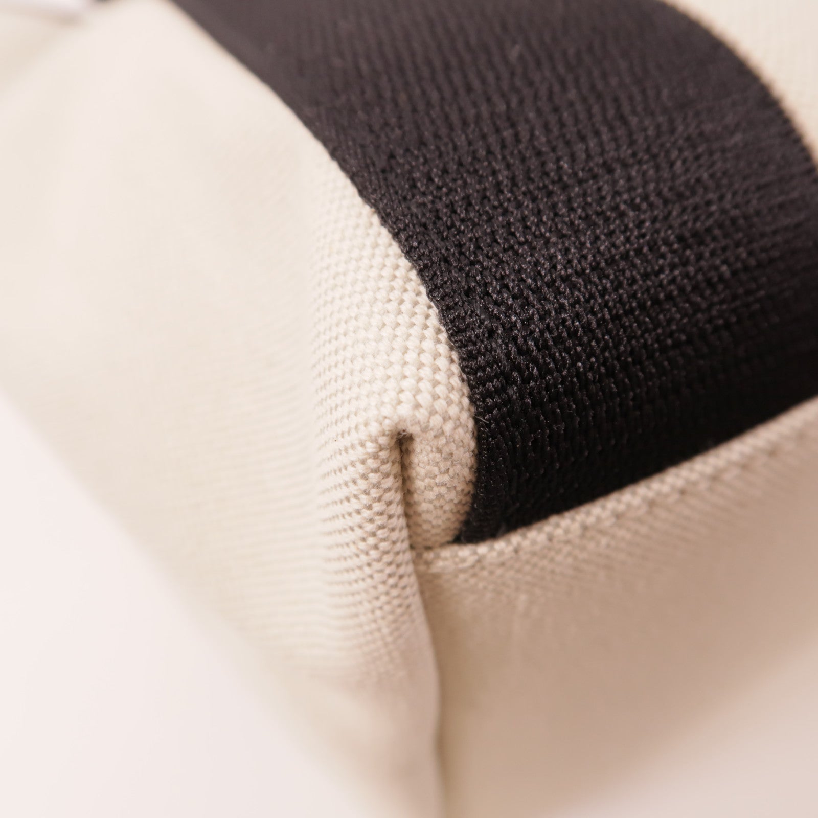 BALENCIAGA Biarritz Small Bag 2way Shoulder Canvas  6W2B0L31VSF/0NO