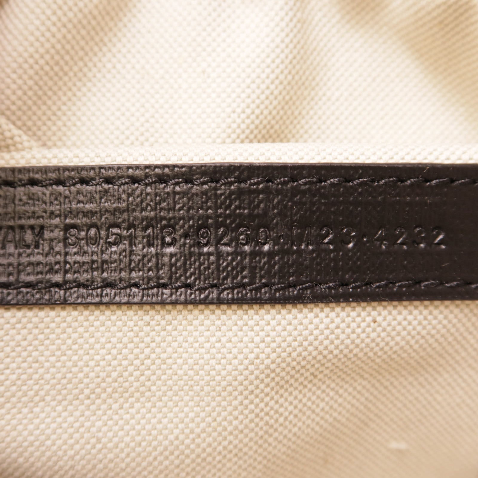 BALENCIAGA Biarritz Small Bag 2way Shoulder Canvas  6W2B0L31VSF/0NO