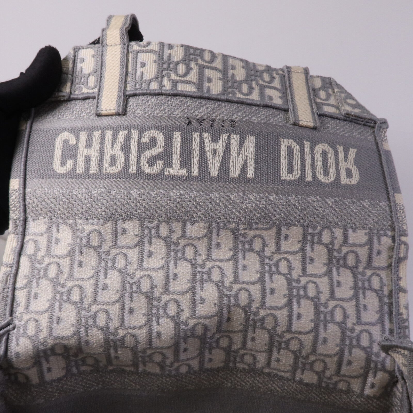 Dior 帆布Medium Diorcamp Bag銀扣肩背袋