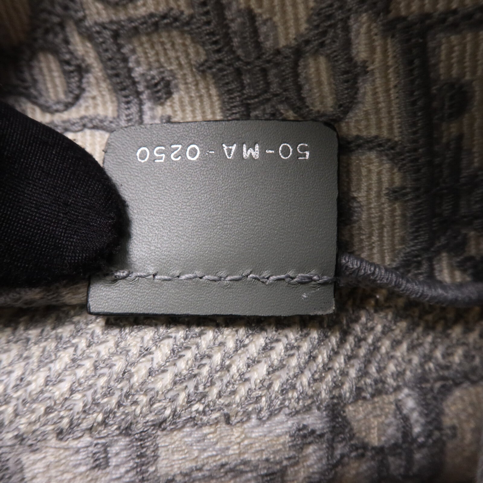 Dior 帆布Medium Diorcamp Bag銀扣肩背袋