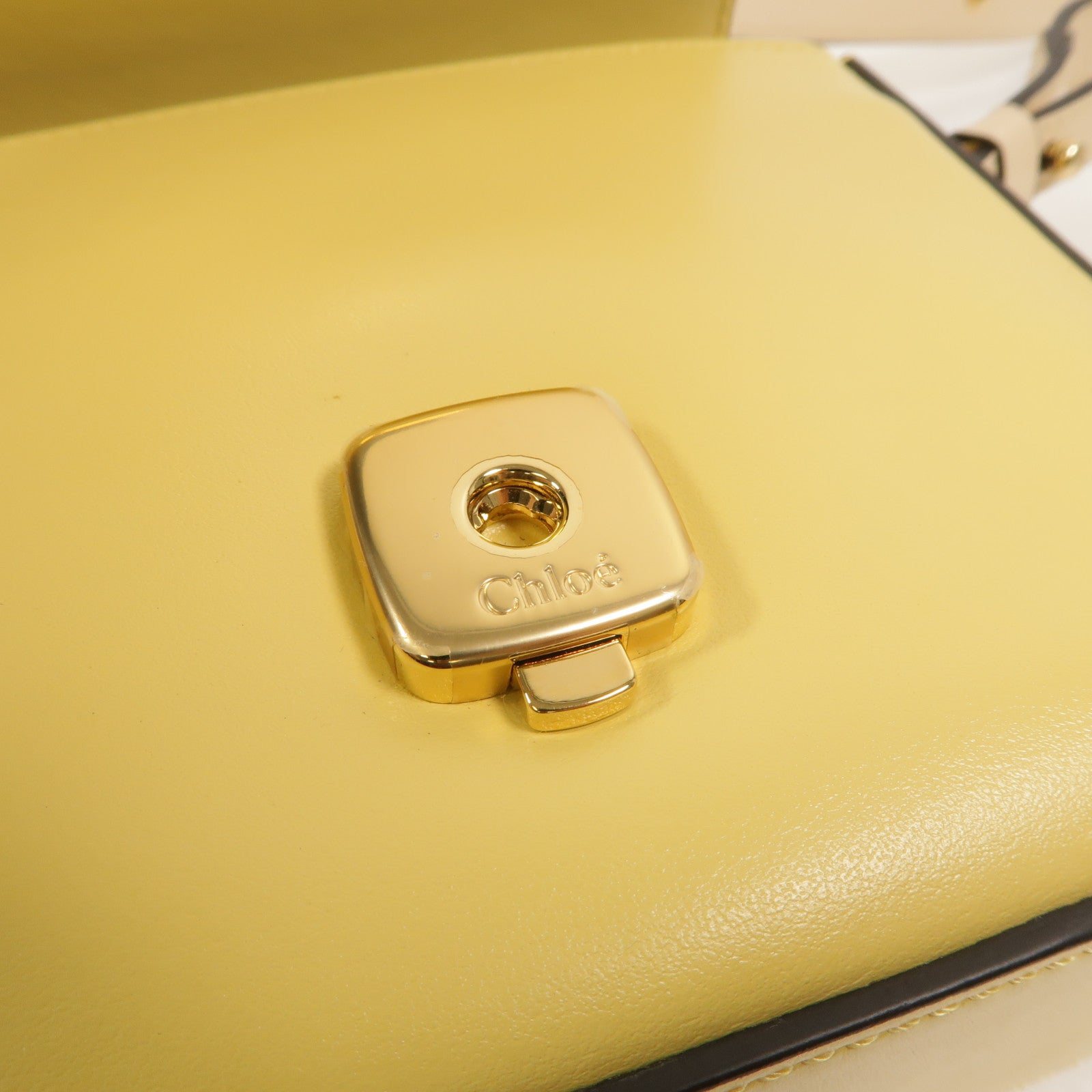 Chloe 牛皮皮革Mini Chloe C手挽肩背兩用袋