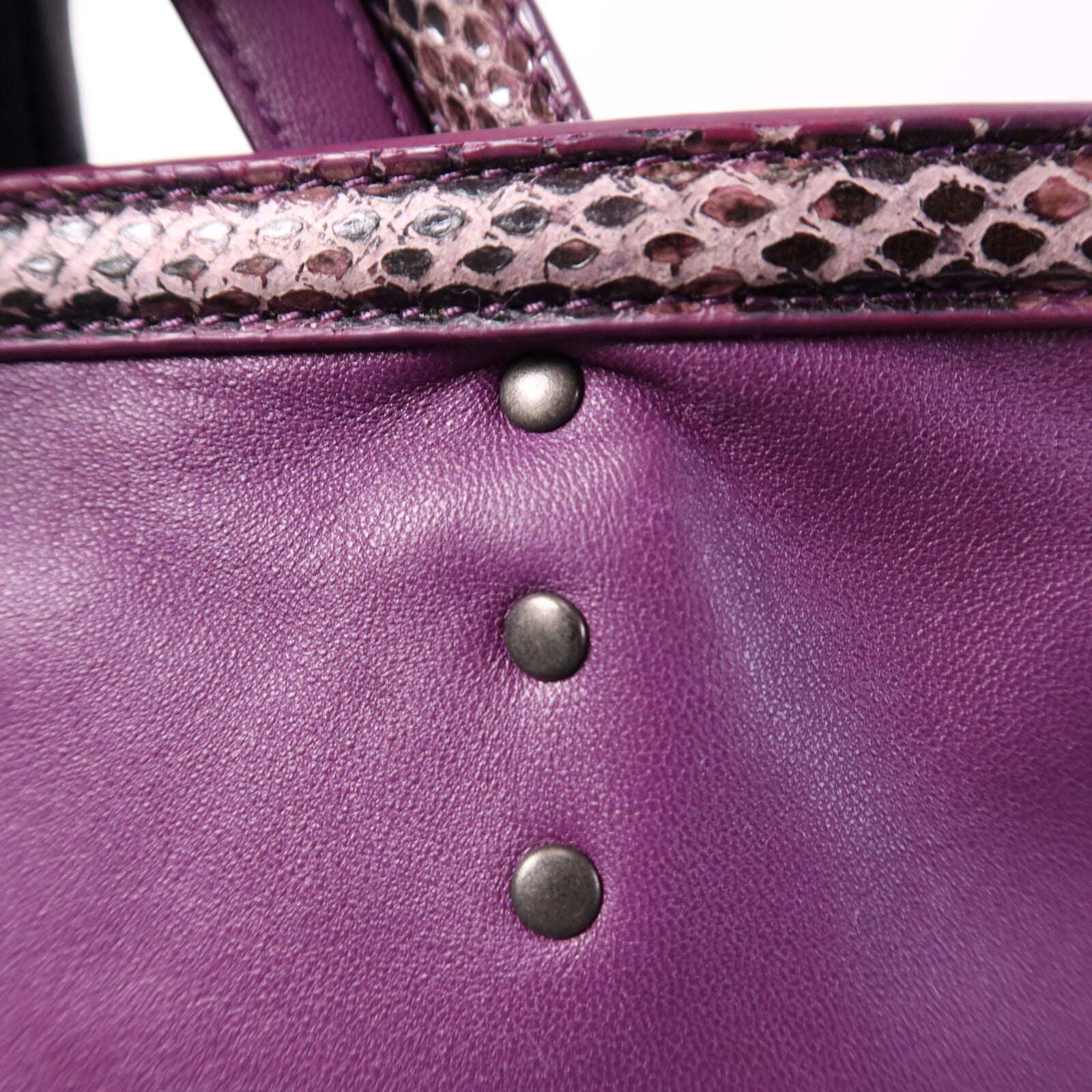 BOTTEGA VENETA 羊皮/蛇皮皮革Tote Bag銀扣手挽袋