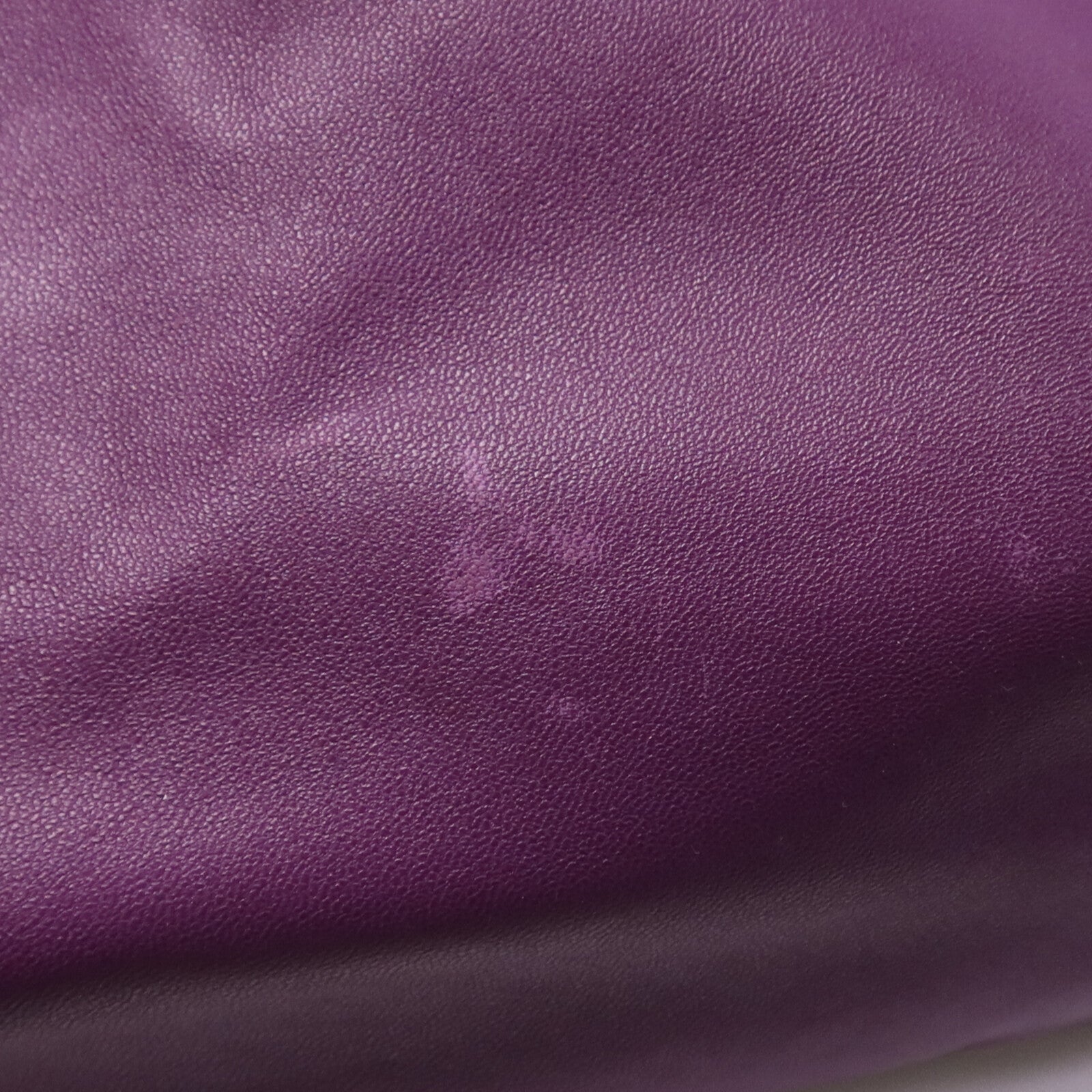 BOTTEGA VENETA 羊皮/蛇皮皮革Tote Bag銀扣手挽袋