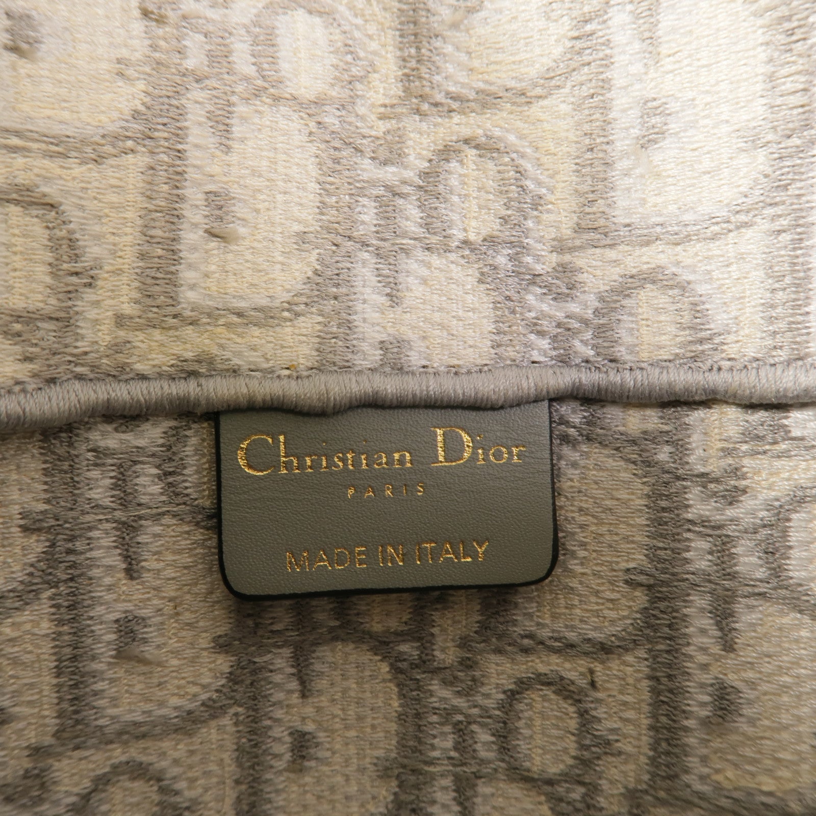 Dior 帆布Saddle Slim Pouch肩背袋