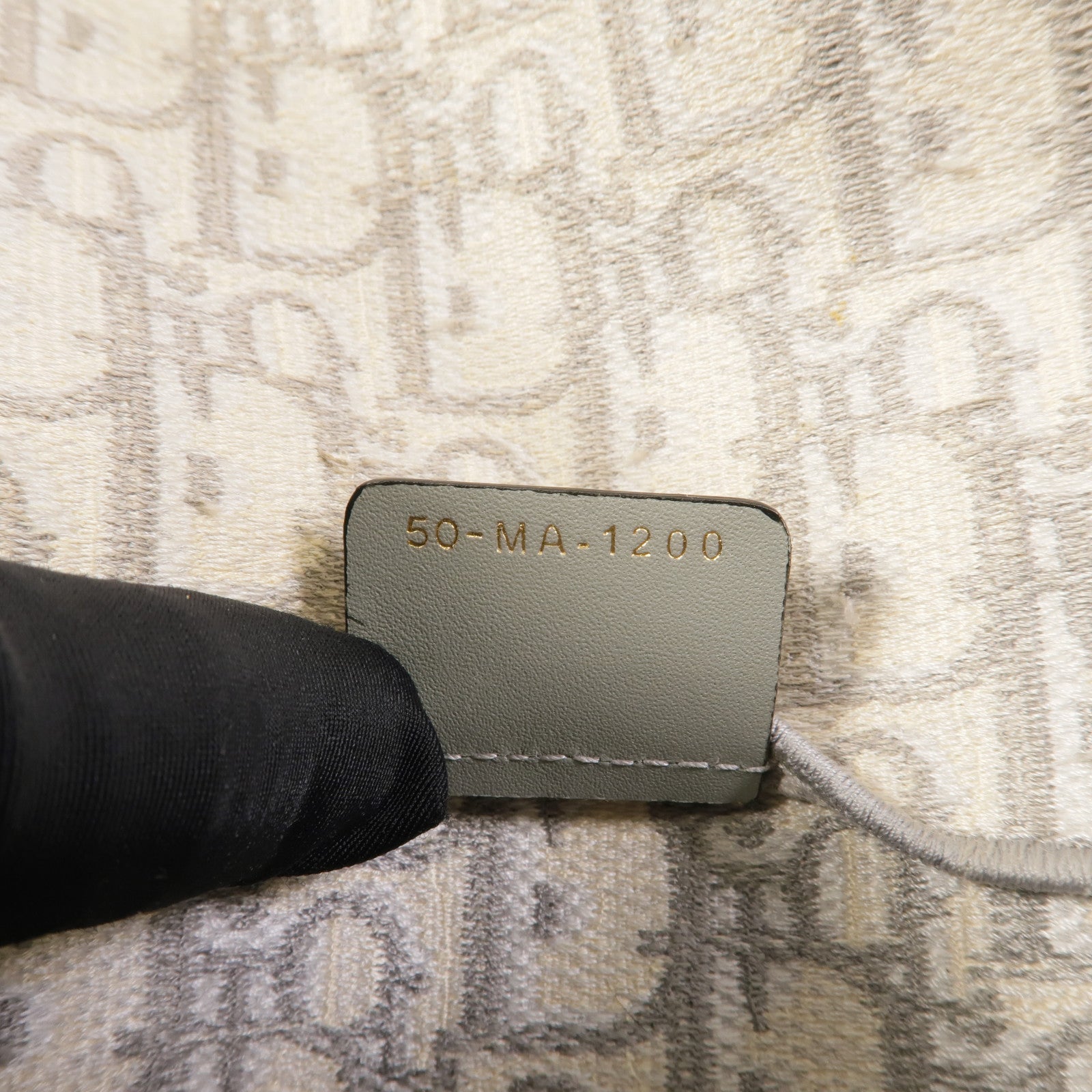 Dior 帆布Saddle Slim Pouch肩背袋