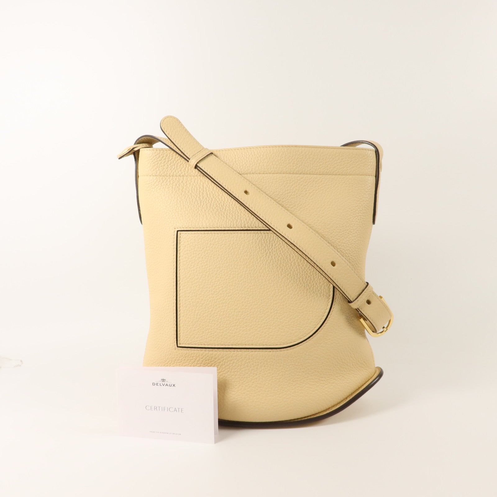 Delvaux 牛皮皮革Pin Daily肩背袋