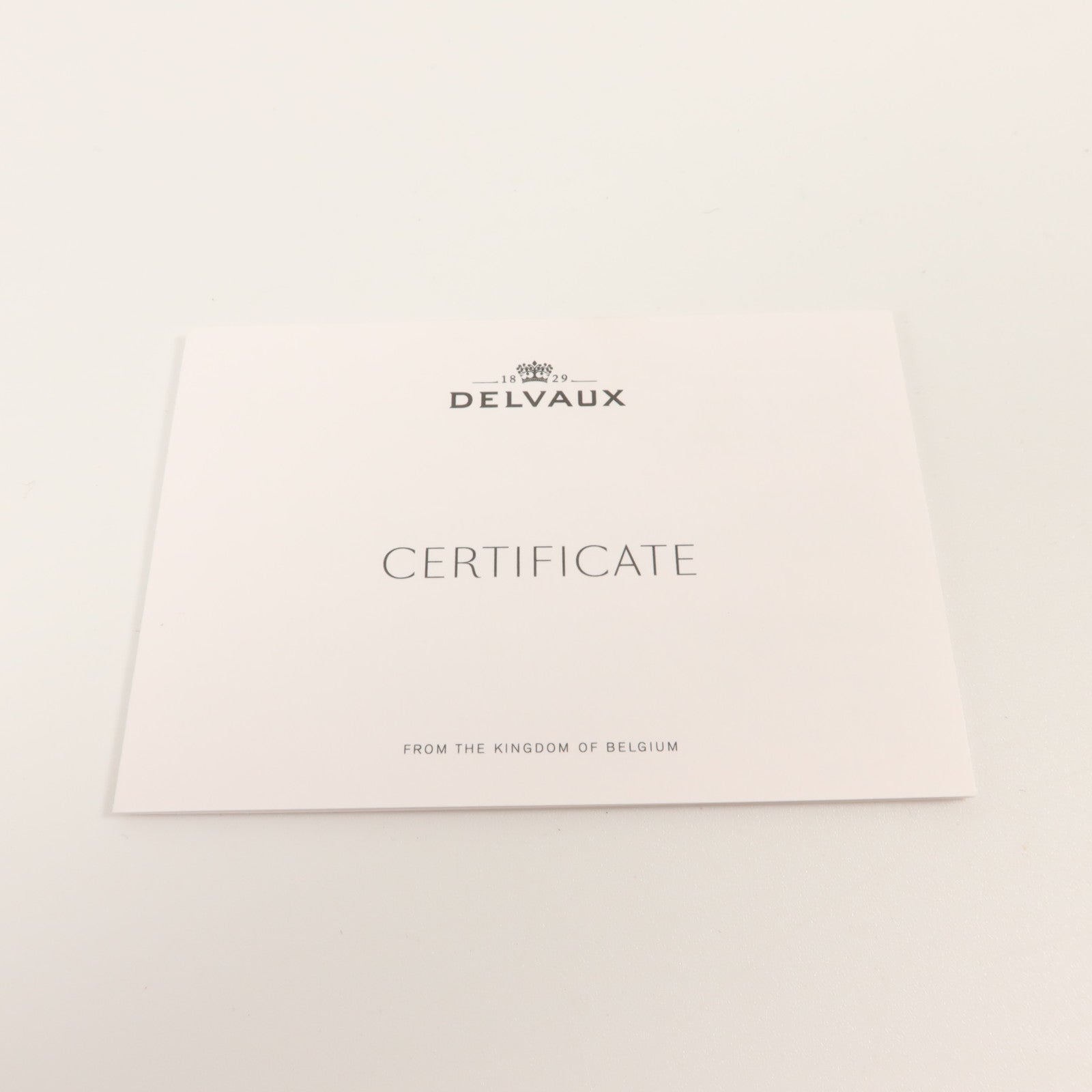Delvaux 牛皮皮革Pin Daily肩背袋