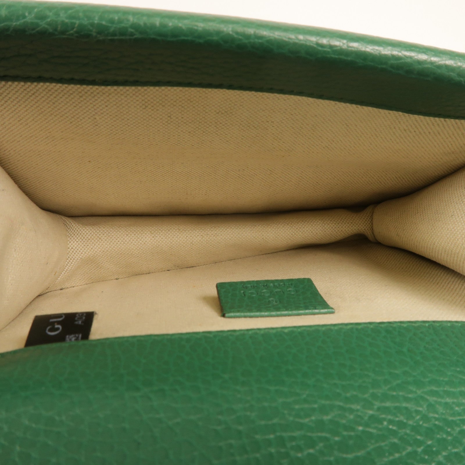 GUCCI GG SHW Dionysus Small Chain Shoulder Bag 421970 Calfskin Leather Green