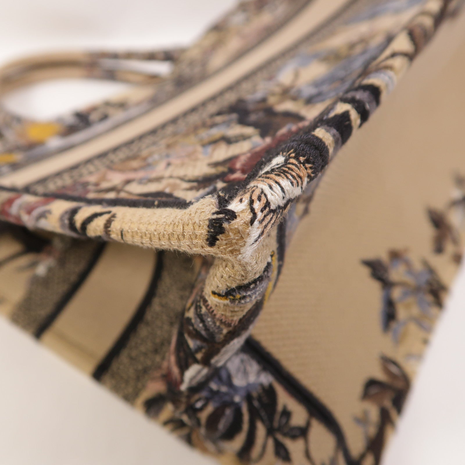 Dior 帆布Medium Book Tote手挽袋