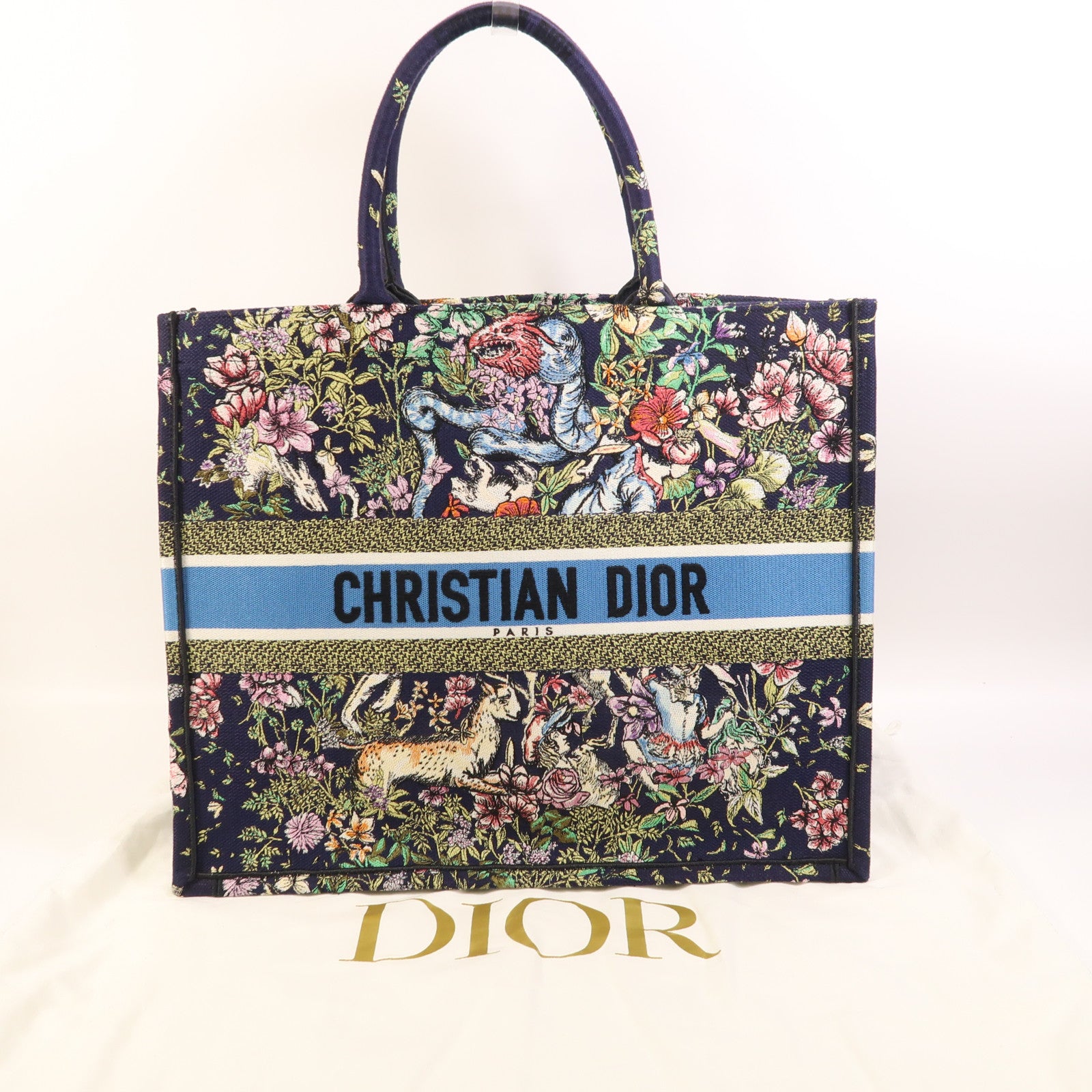 Dior 帆布Book Tote Large手挽袋