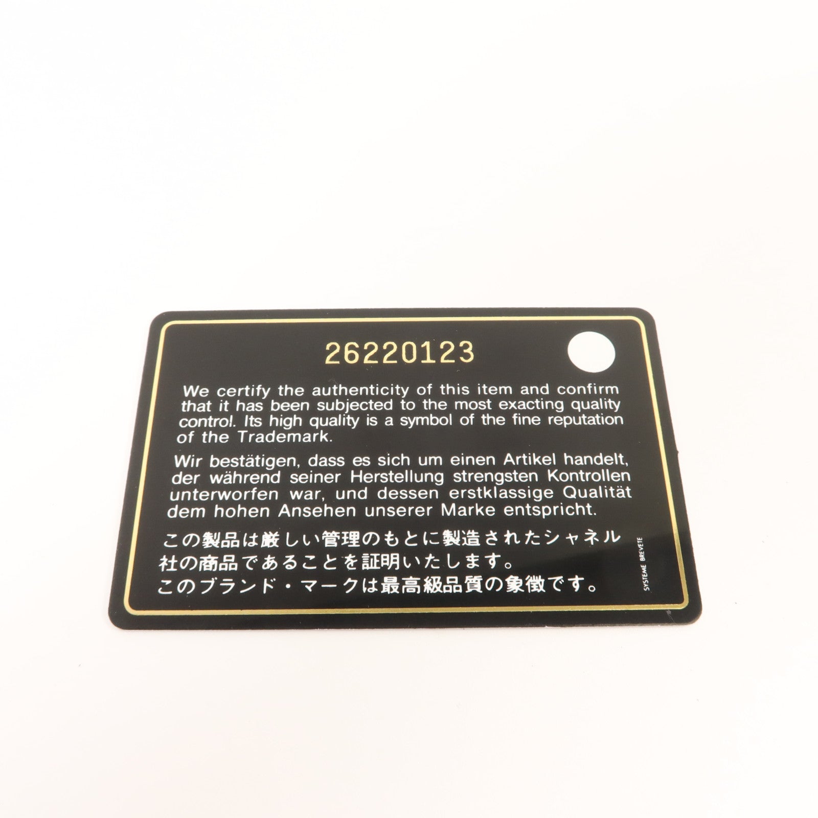 CHANEL 羊皮皮革Classic Phone Pouch With Zipper小袋