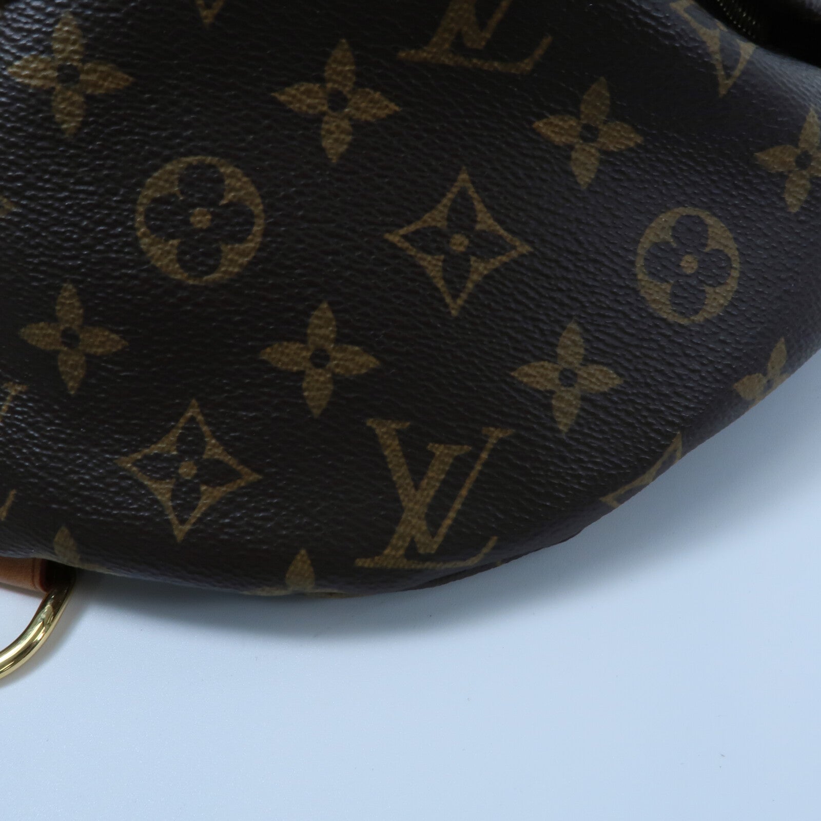 LOUIS VUITTON Monogram Bum Bag腰包