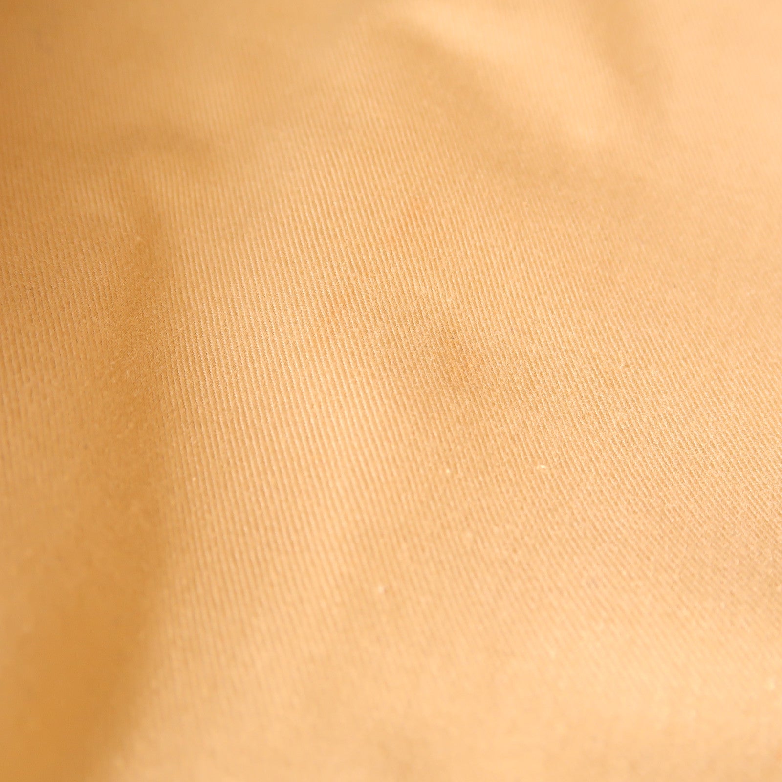 Chloe 帆布Woody Tote Bag手挽袋