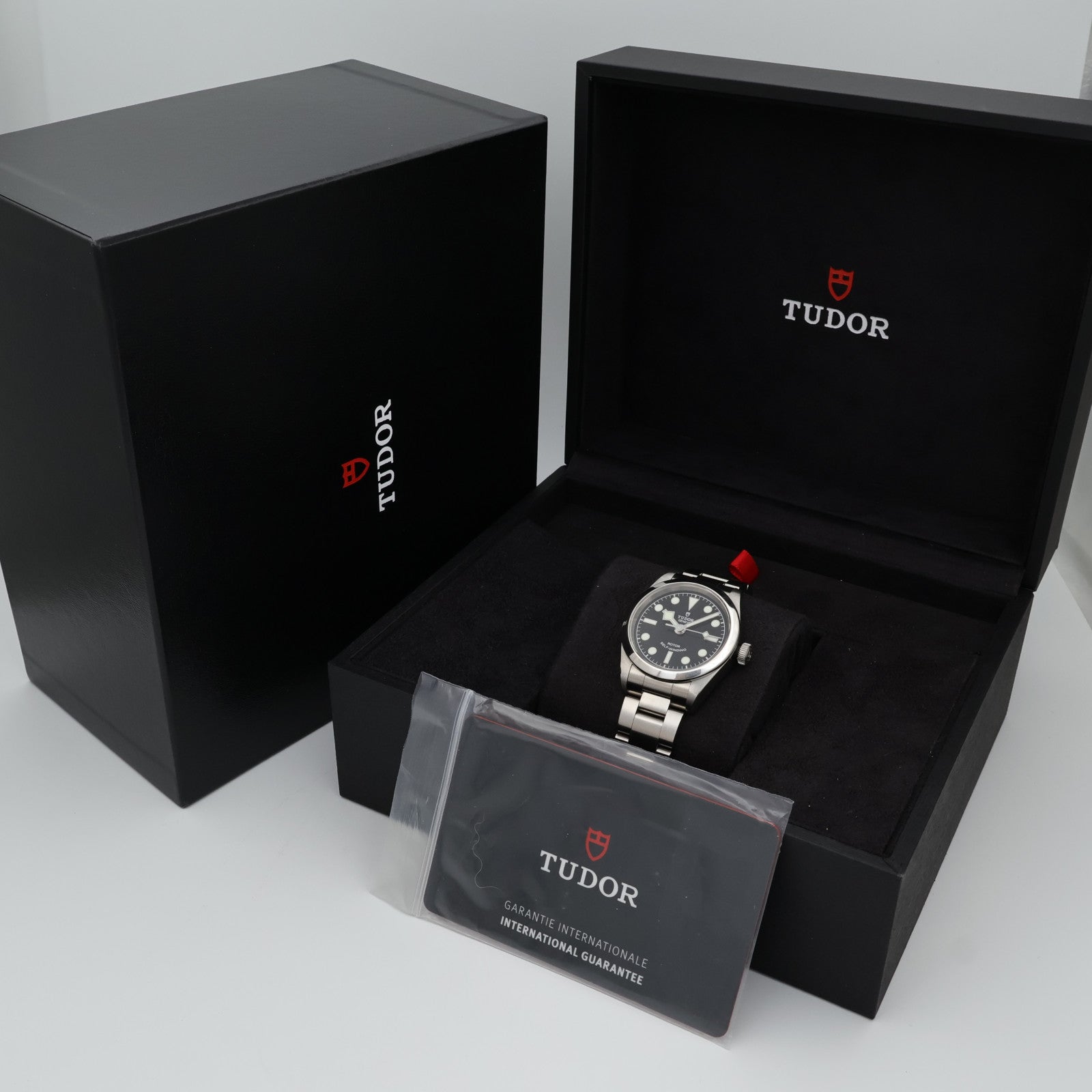 TUDOR Black Bay 79580