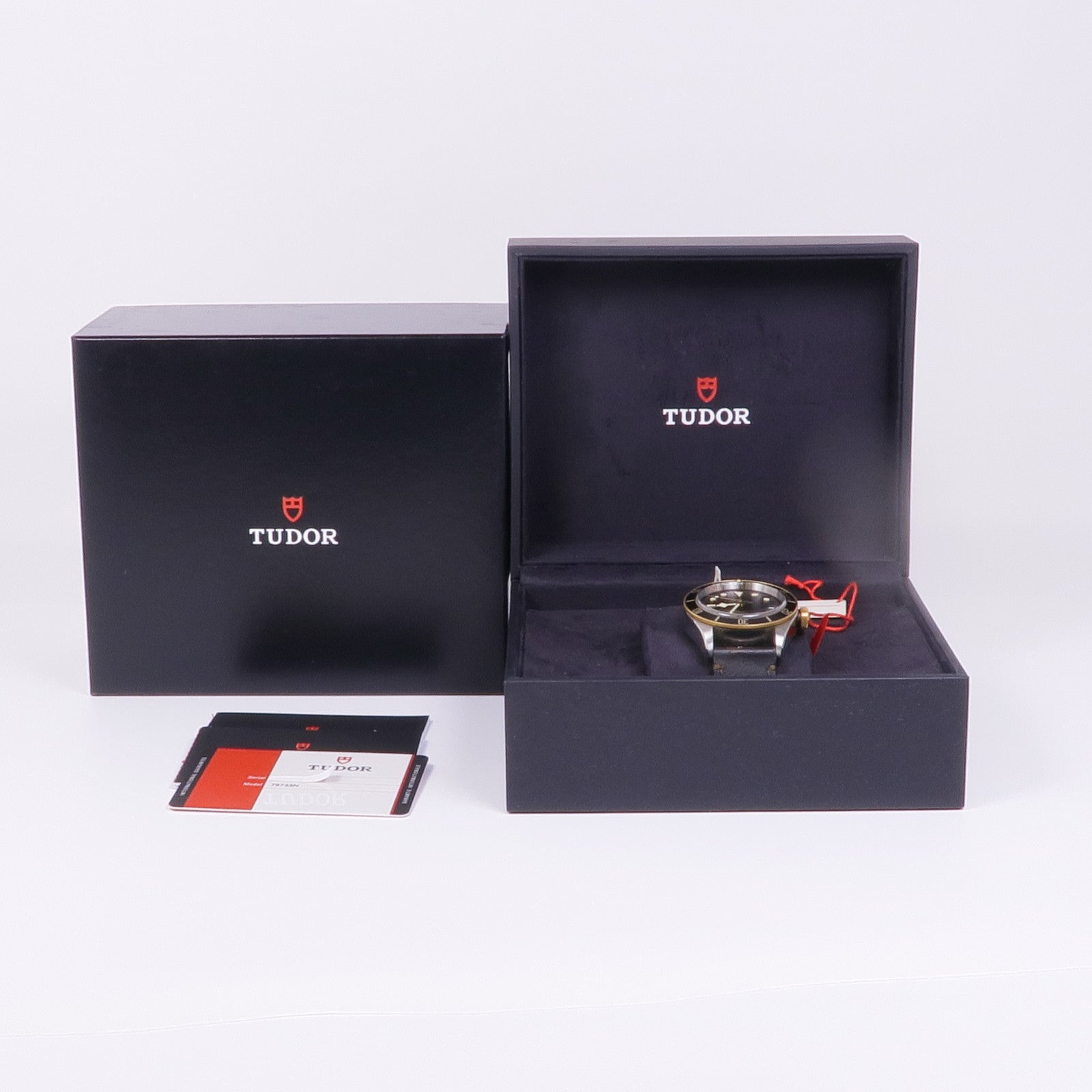 TUDOR Black Bay 79733N(2019)