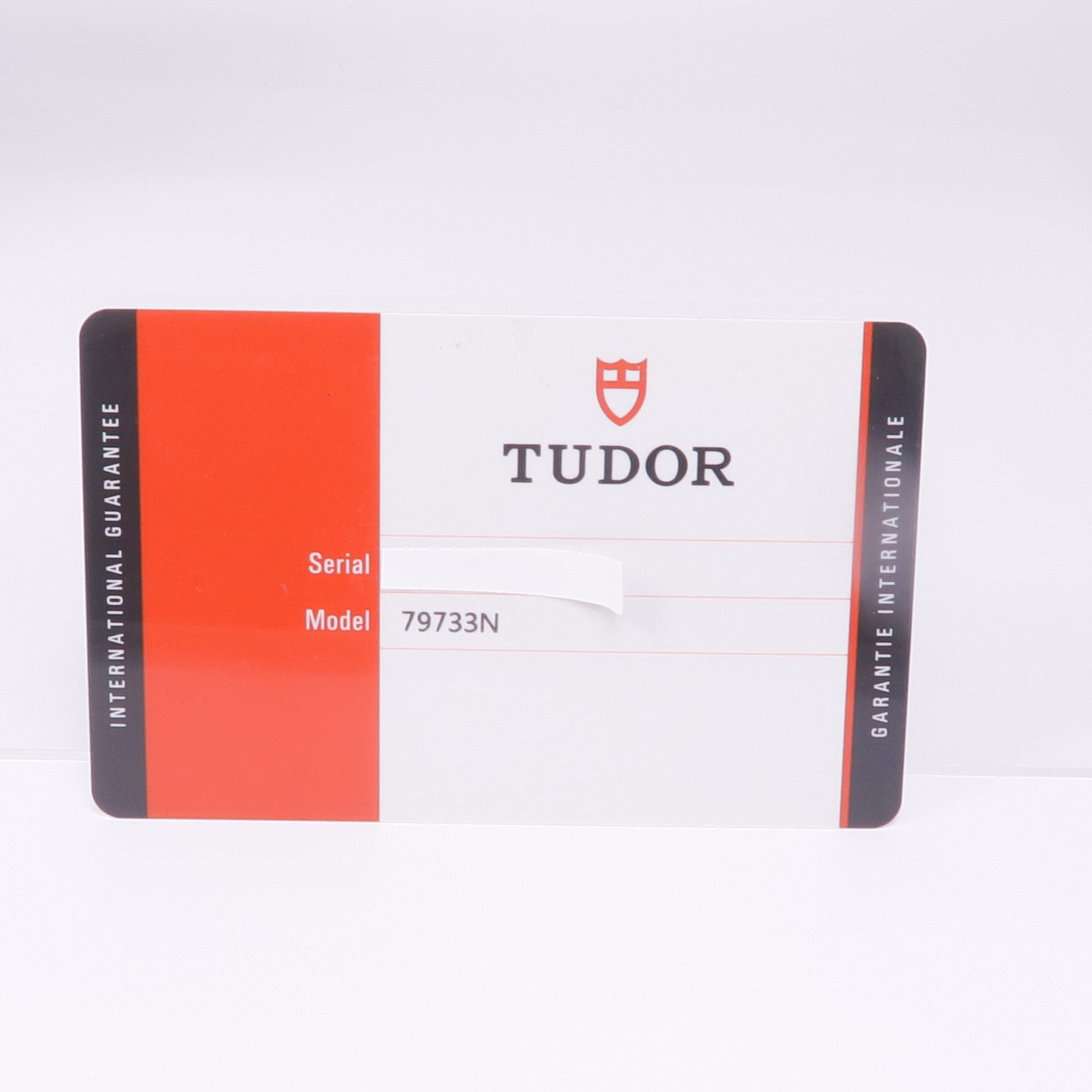 TUDOR Black Bay 79733N(2019)