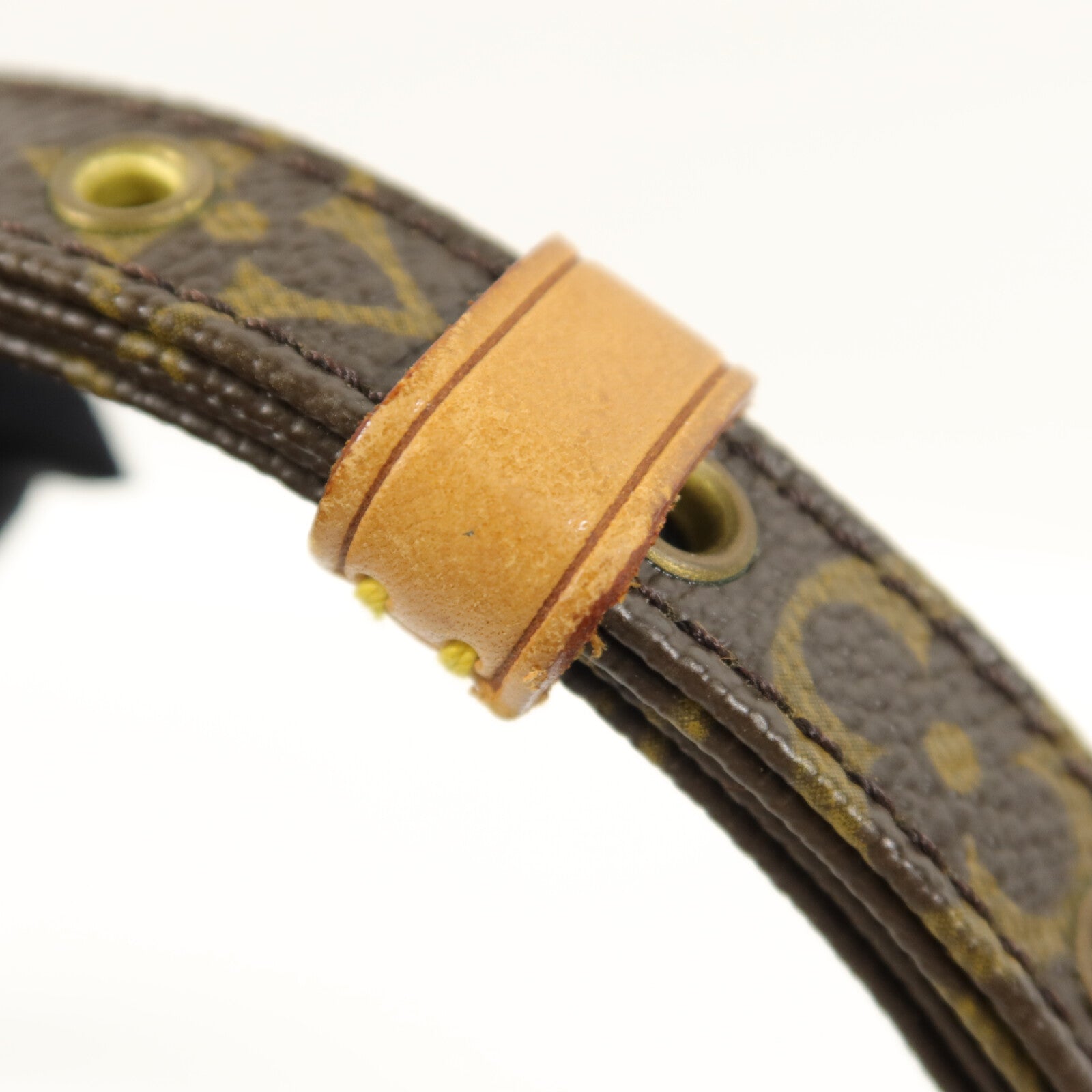 LOUIS VUITTON Monogram Danube肩背袋