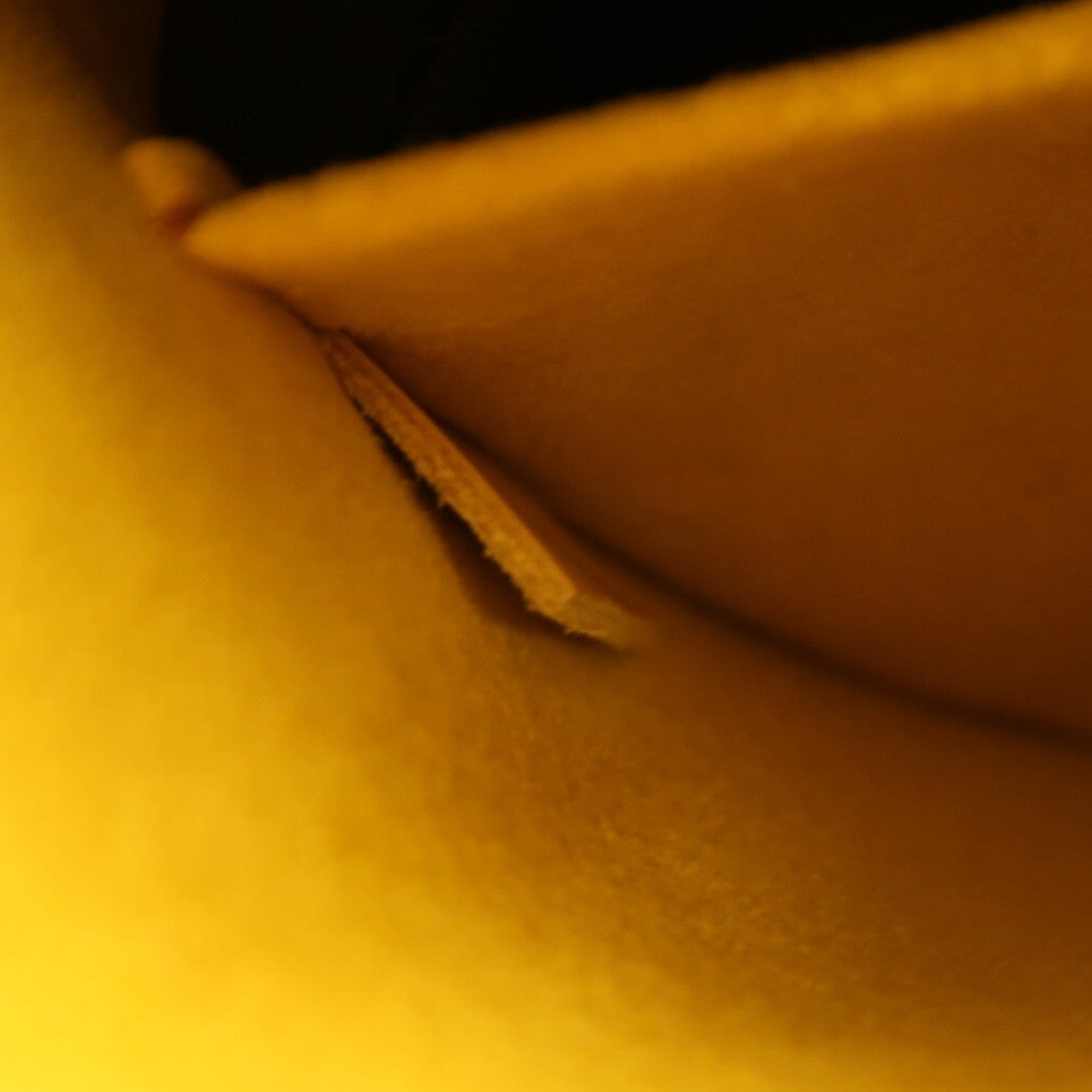 LOUIS VUITTON Epi銀金扣Hand Bag手挽袋