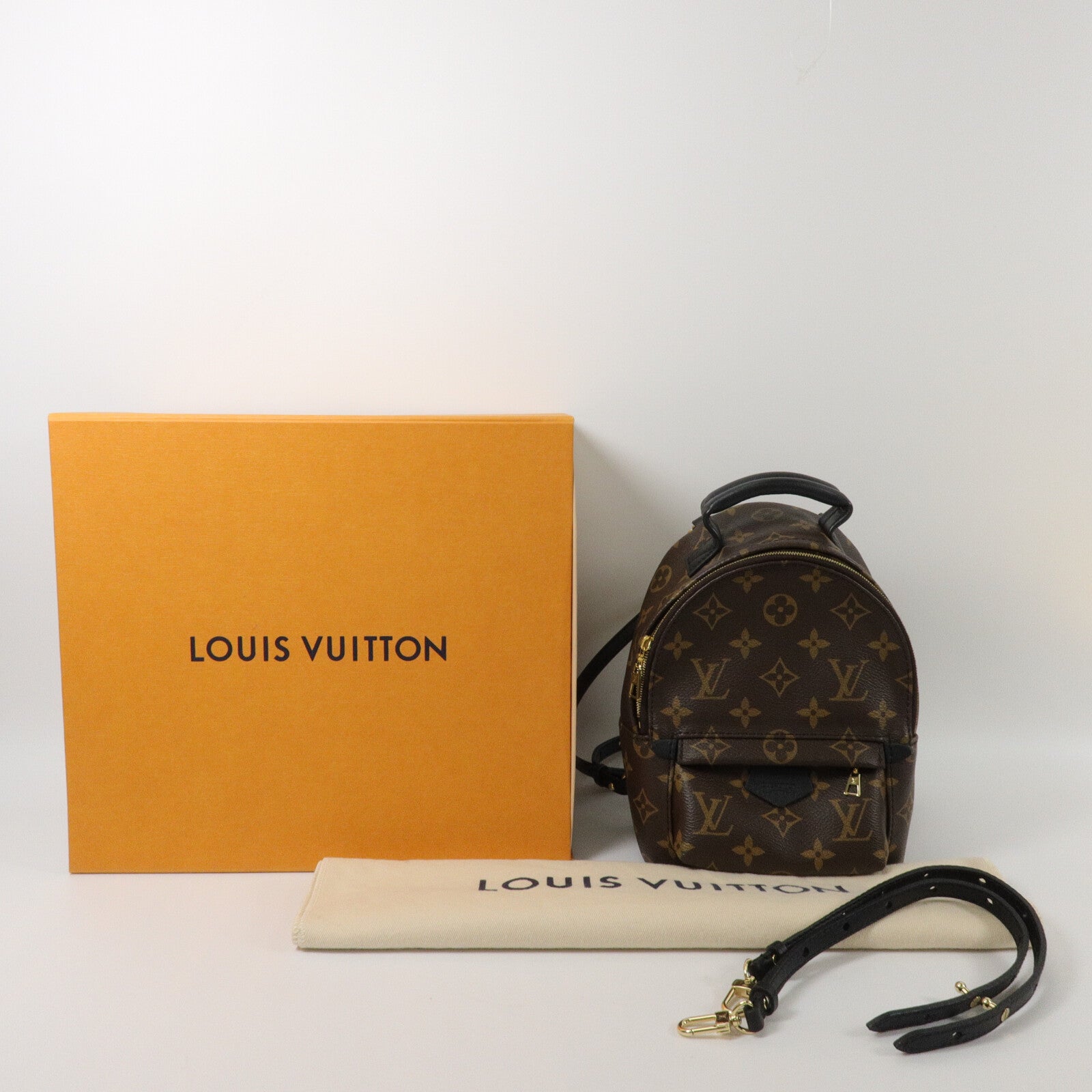 LOUIS VUITTON Monogram Palm Springs Mini背包
