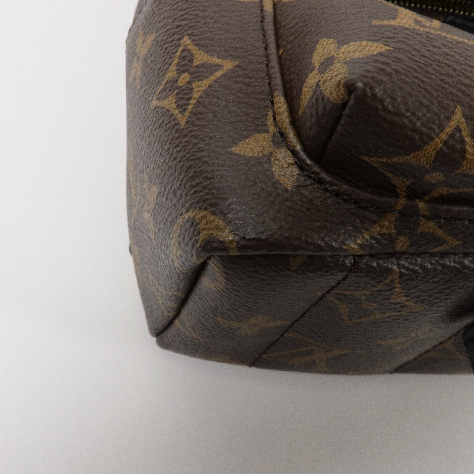 LOUIS VUITTON Monogram Palm Springs Mini背包
