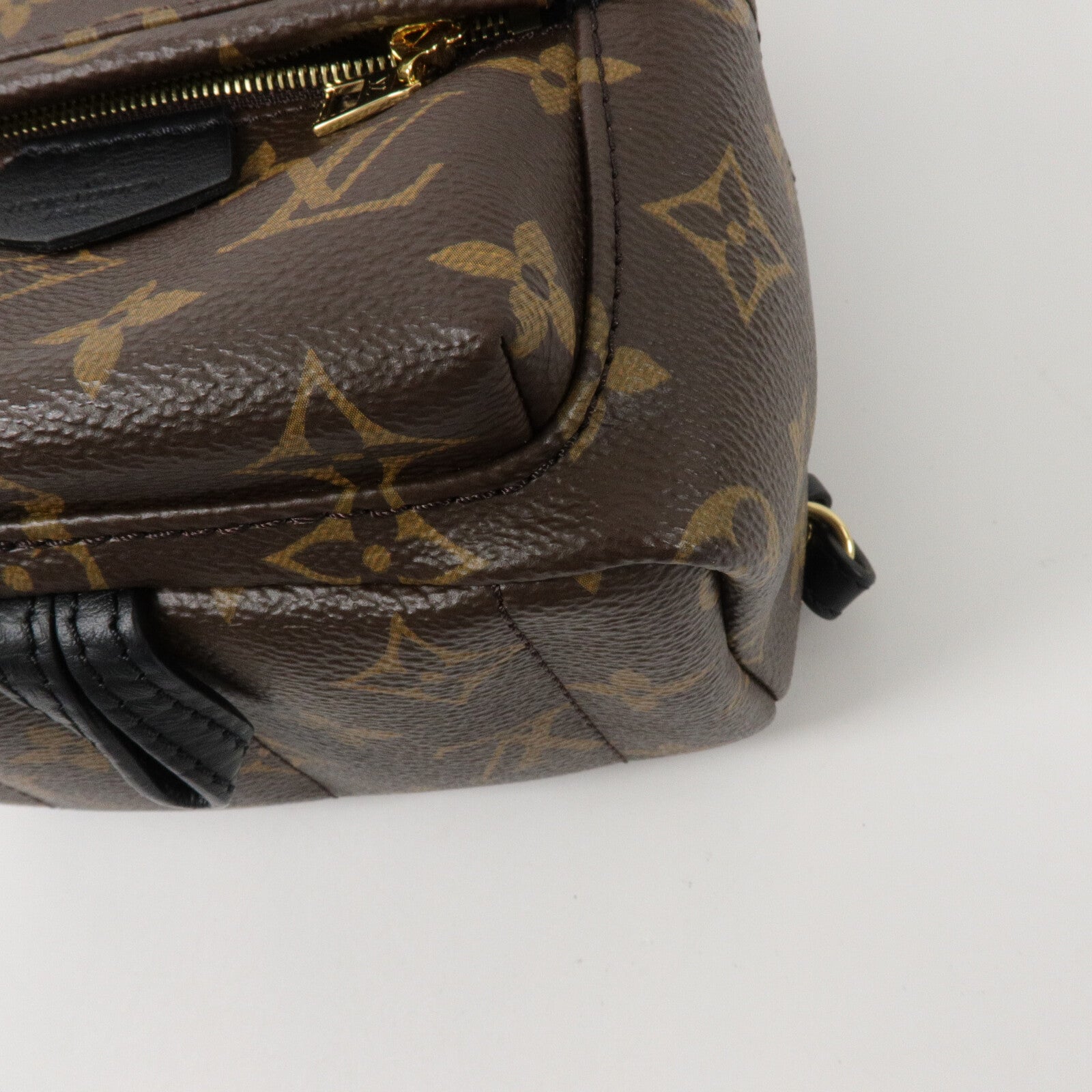 LOUIS VUITTON Monogram Palm Springs Mini背包