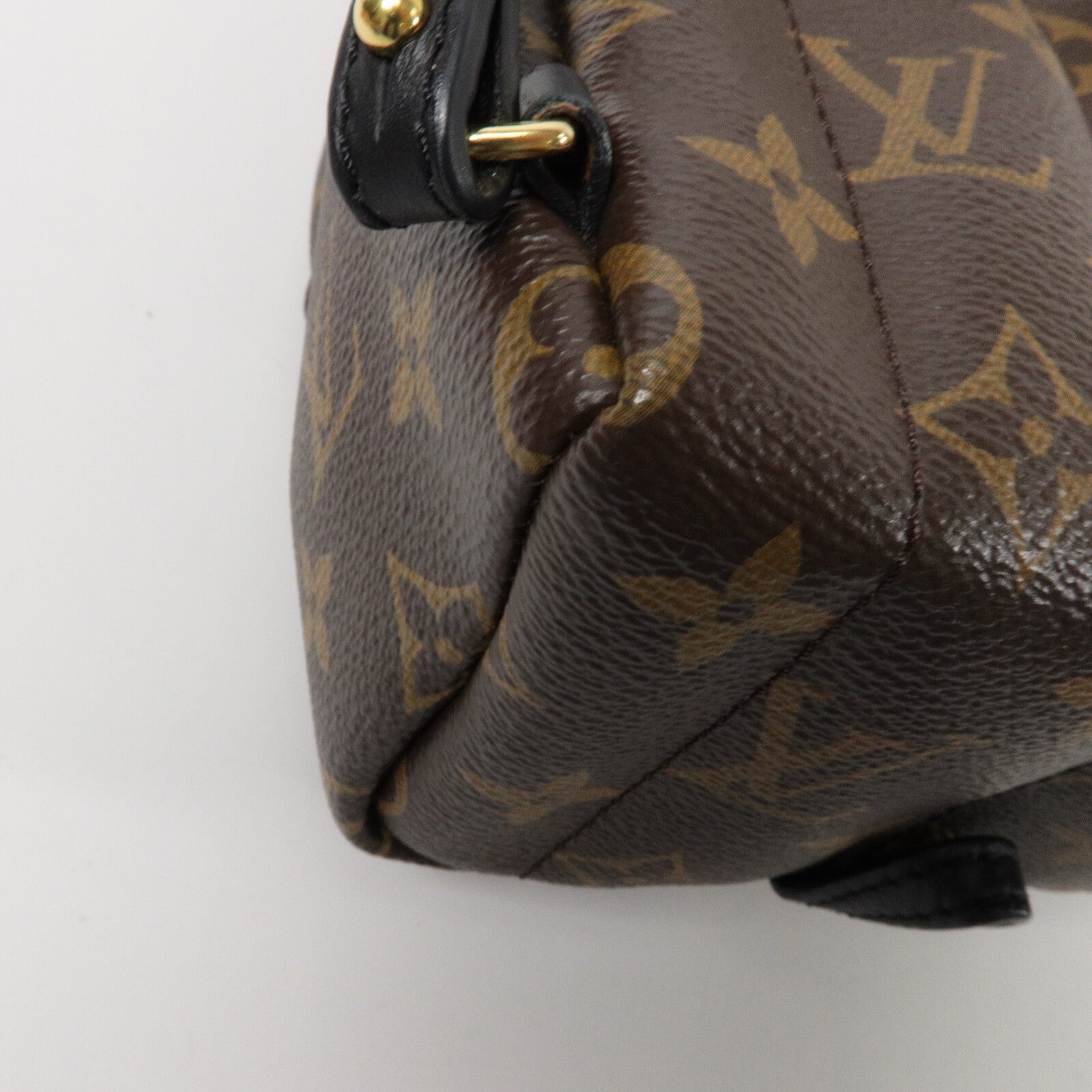 LOUIS VUITTON Monogram Palm Springs Mini背包