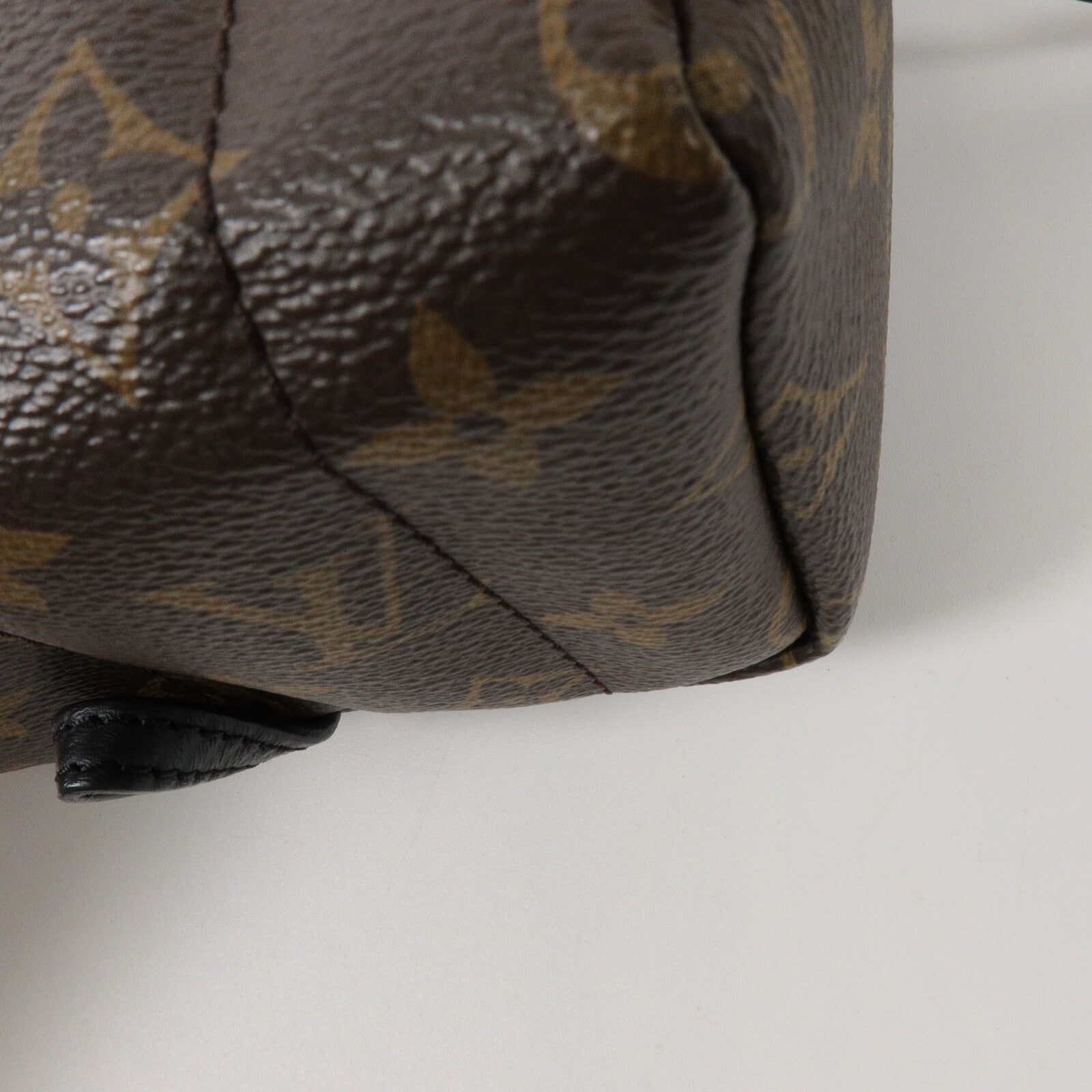 LOUIS VUITTON Monogram Palm Springs Mini背包
