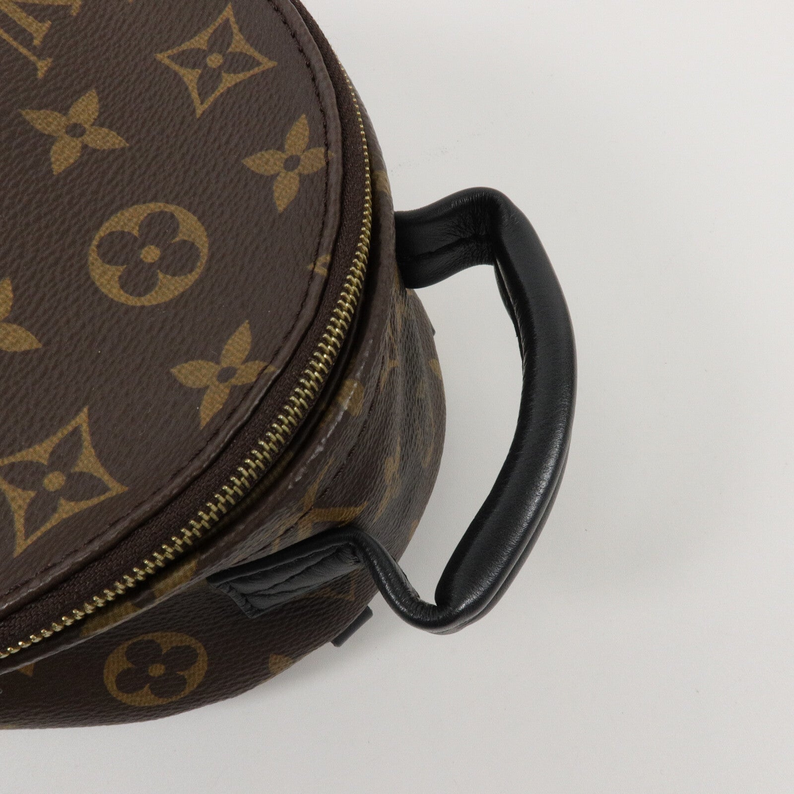 LOUIS VUITTON Monogram Palm Springs Mini背包