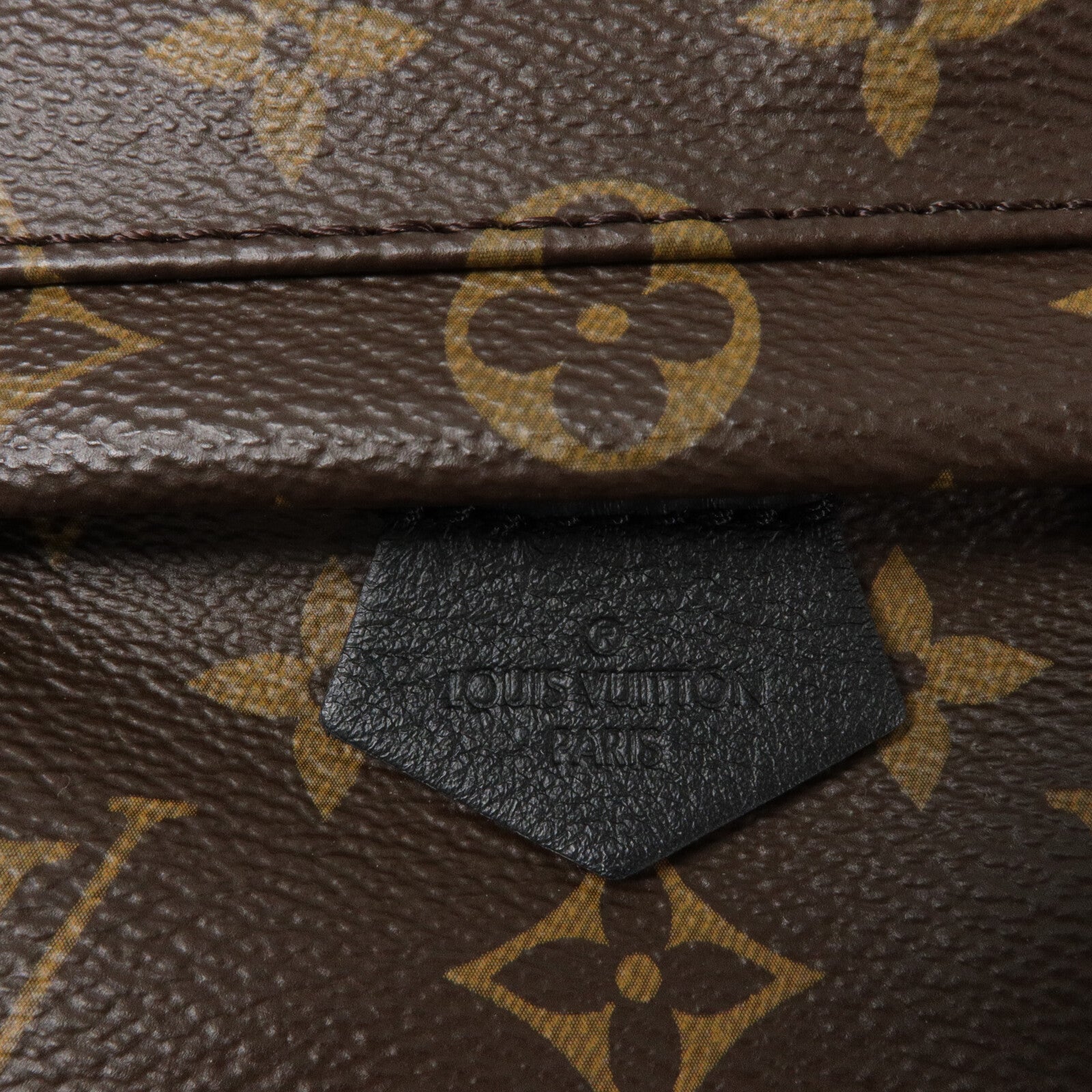 LOUIS VUITTON Monogram Palm Springs Mini背包