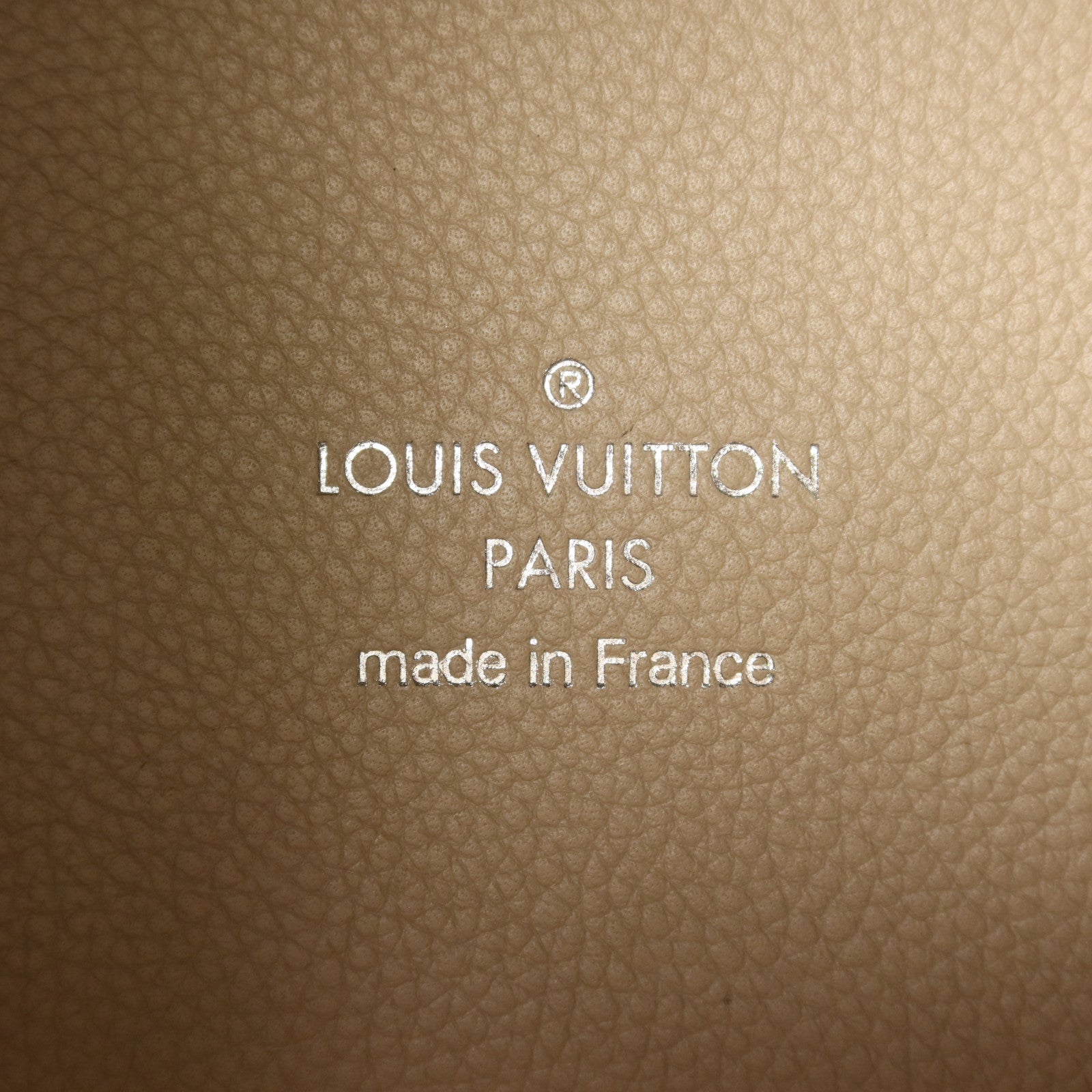 LOUIS VUITTON Mahina Hina PM銀扣手挽肩背兩用袋