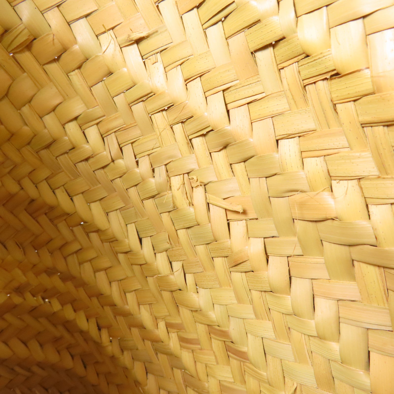 CELINE 【激減優惠】Raffia Tote Bag手挽袋