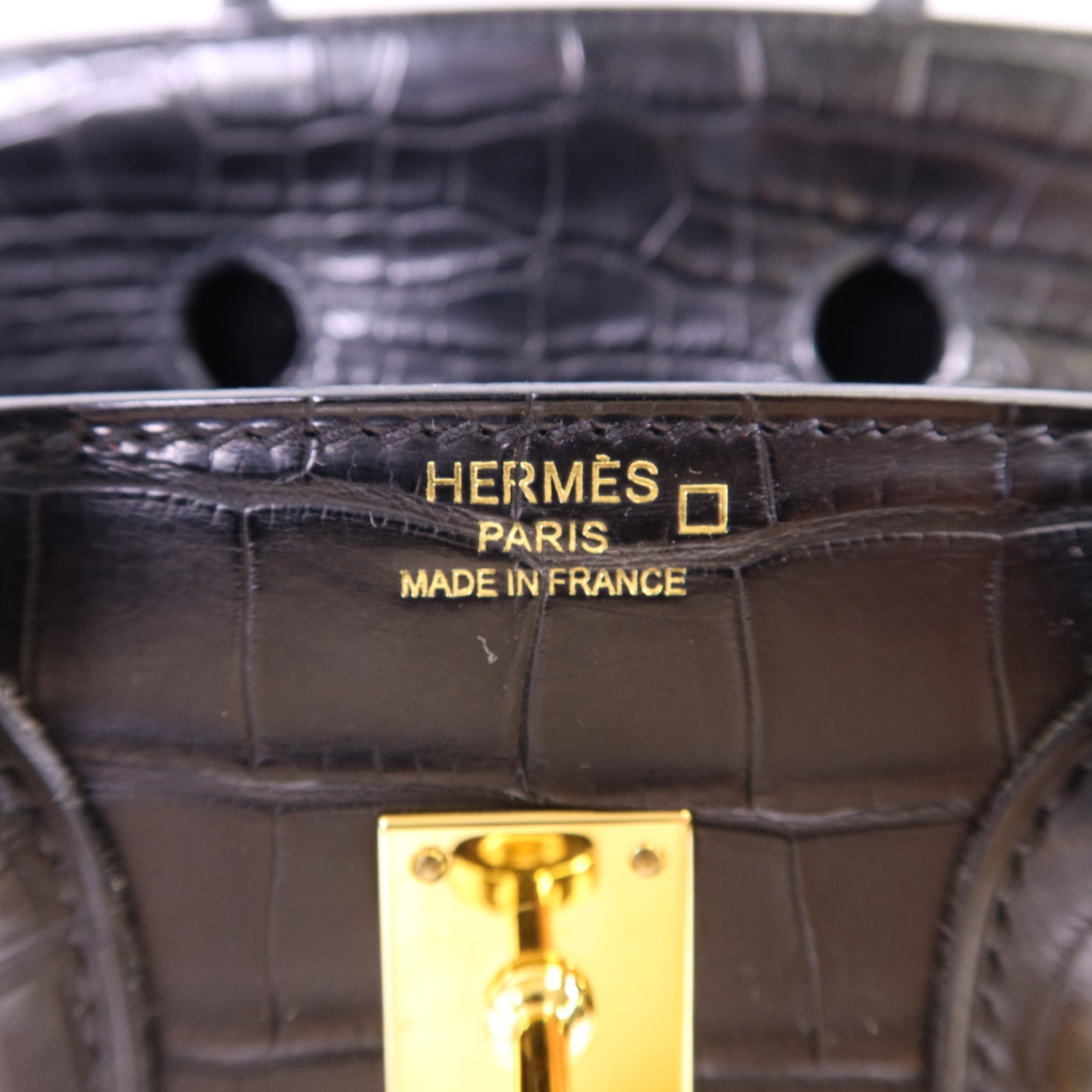 HERMES Alligator Mat皮革Birkin 25金扣手挽袋Noir