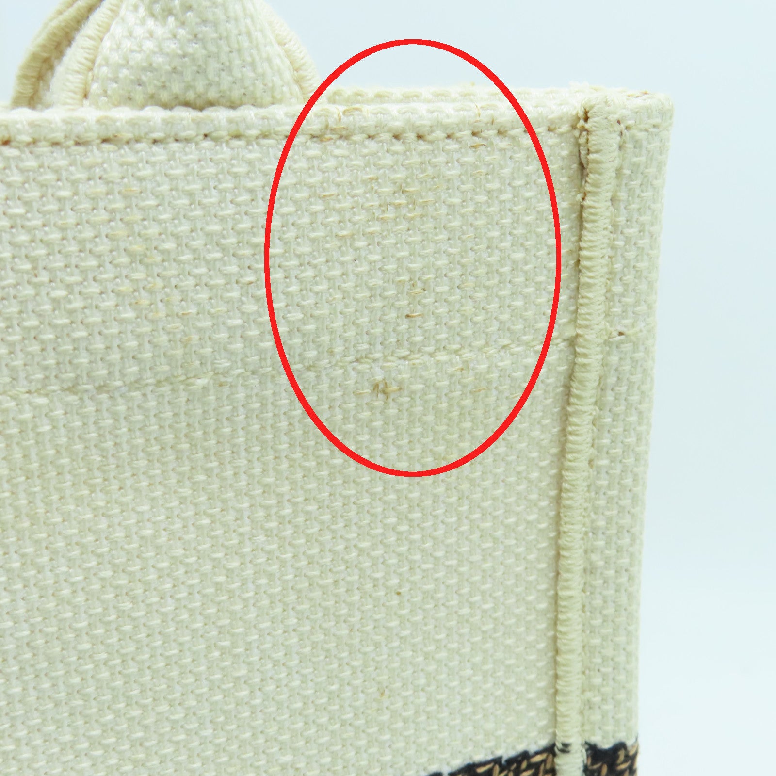 Dior Canvas Tote Bag White/Multicolor