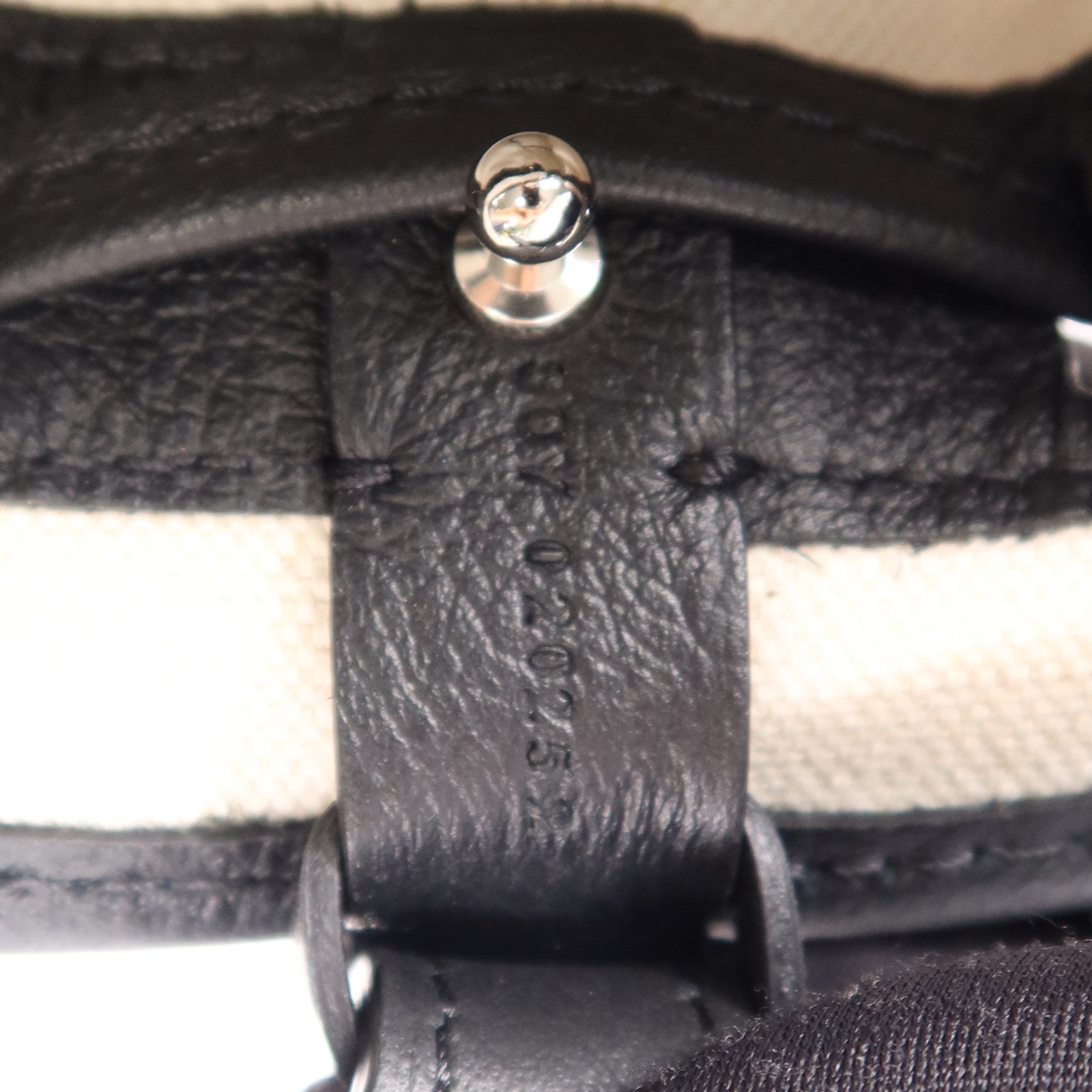 GOYARD 塗層帆布Petit Flot Bucket銀扣肩背袋