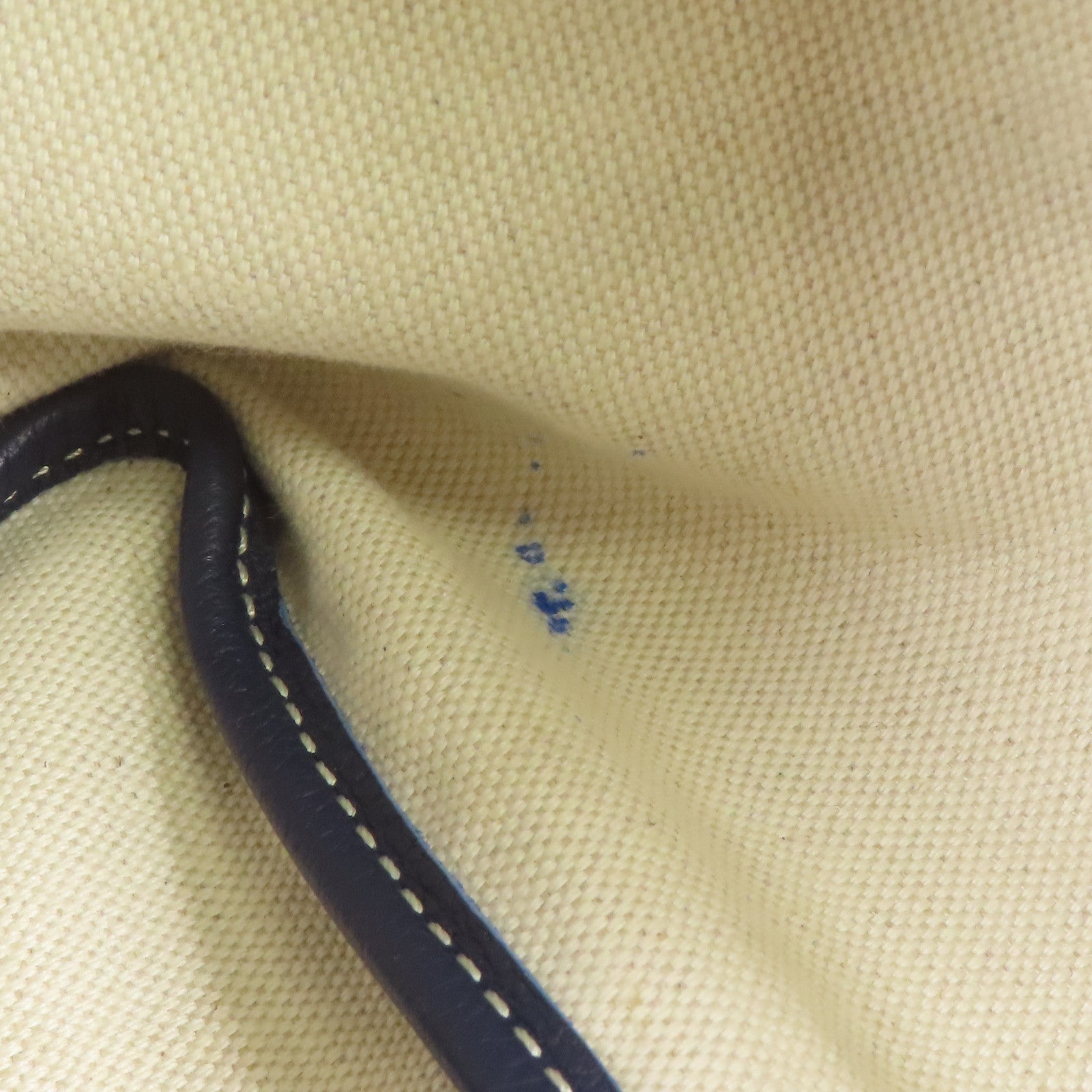 GOYARD 塗層帆布Saint Louis PM肩背袋