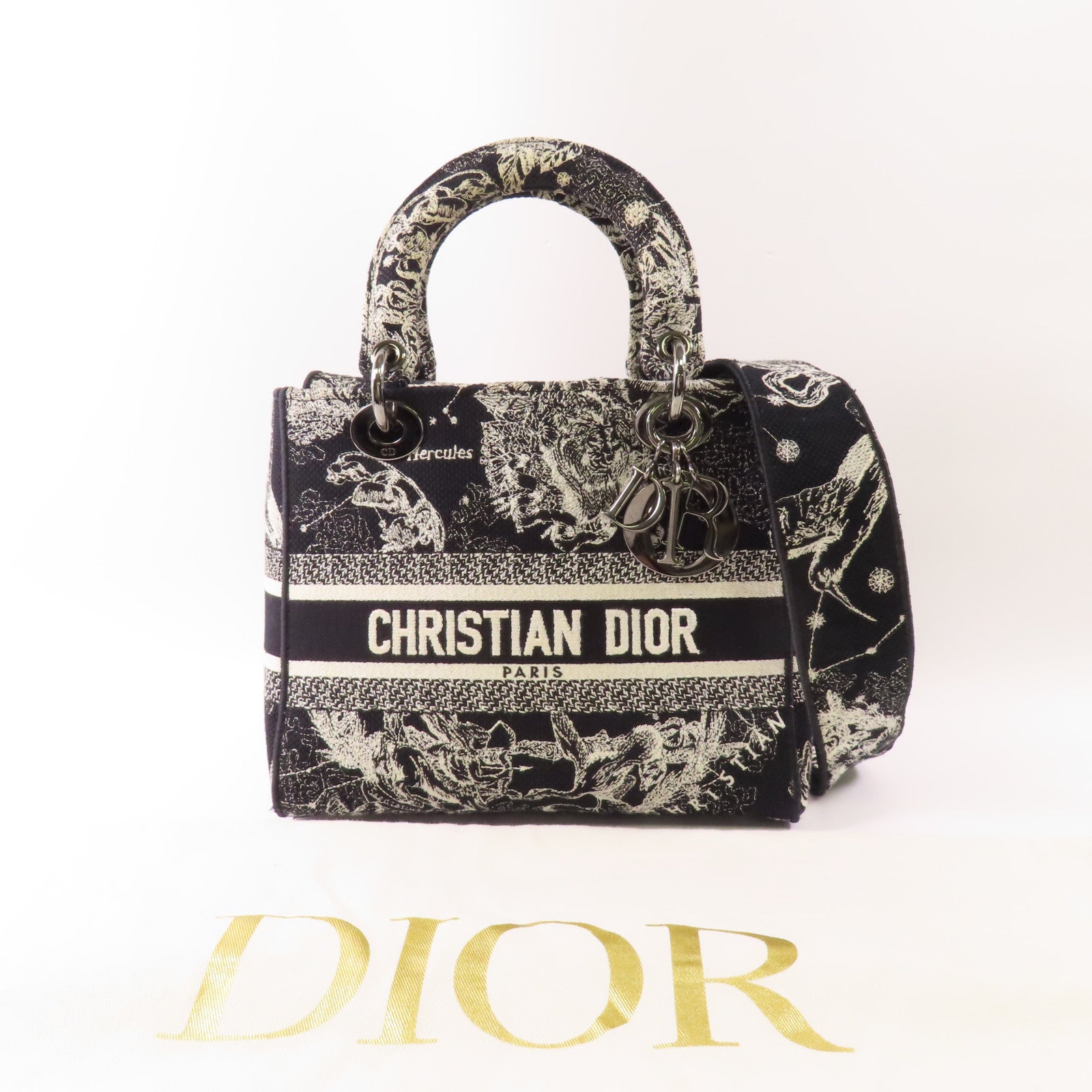 Dior 帆布Lady D-Lite Medium手挽肩背兩用袋