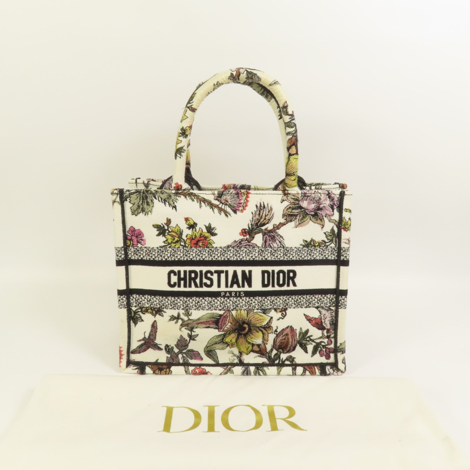 Dior 帆布Book Tote Small手挽袋