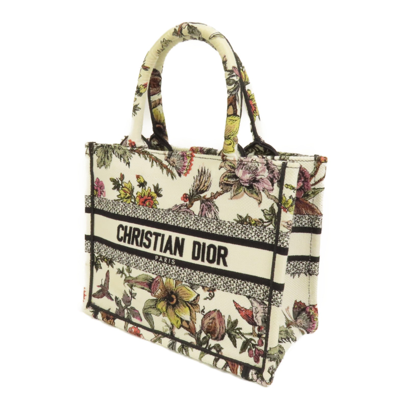 Dior 帆布Book Tote Small手挽袋