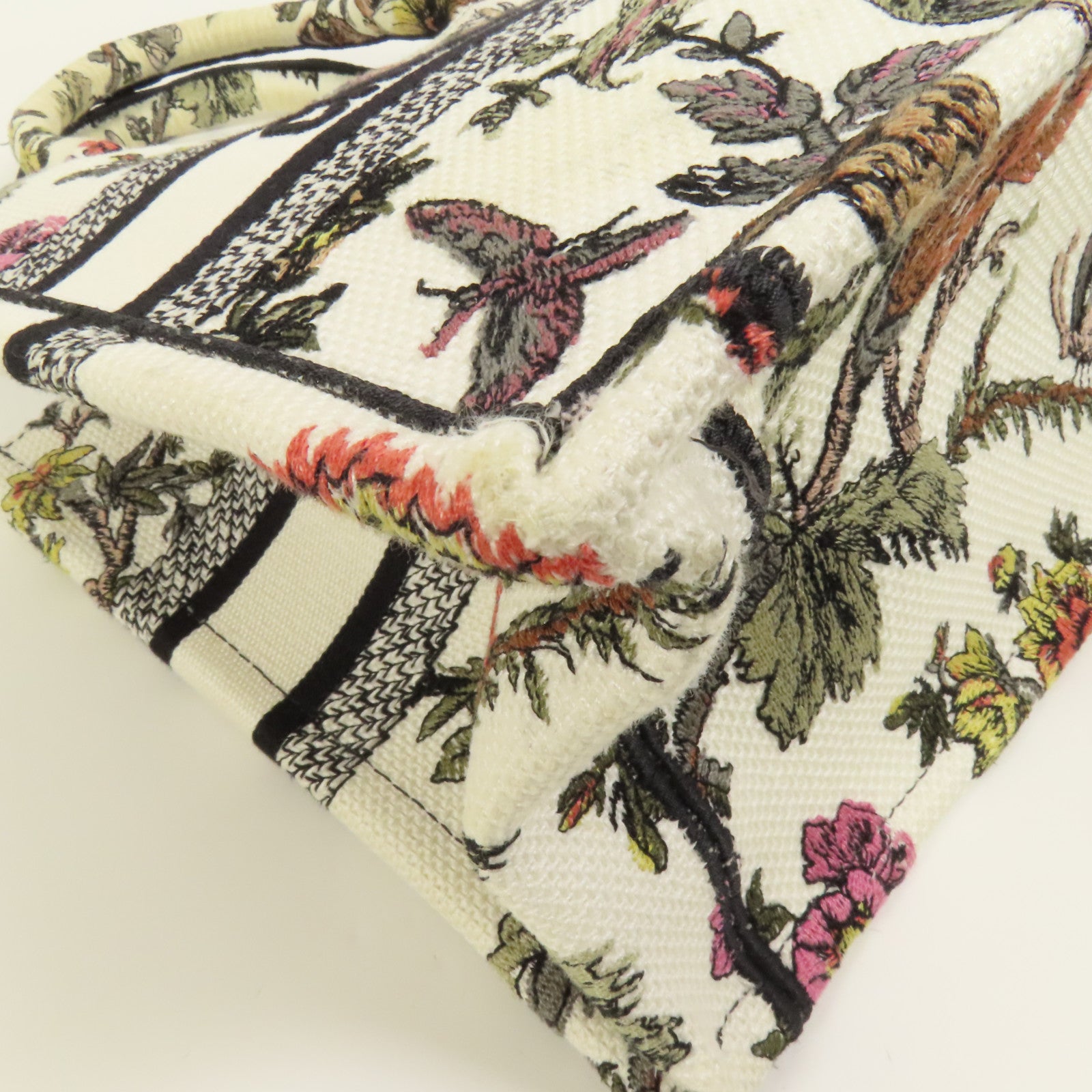 Dior 帆布Book Tote Small手挽袋