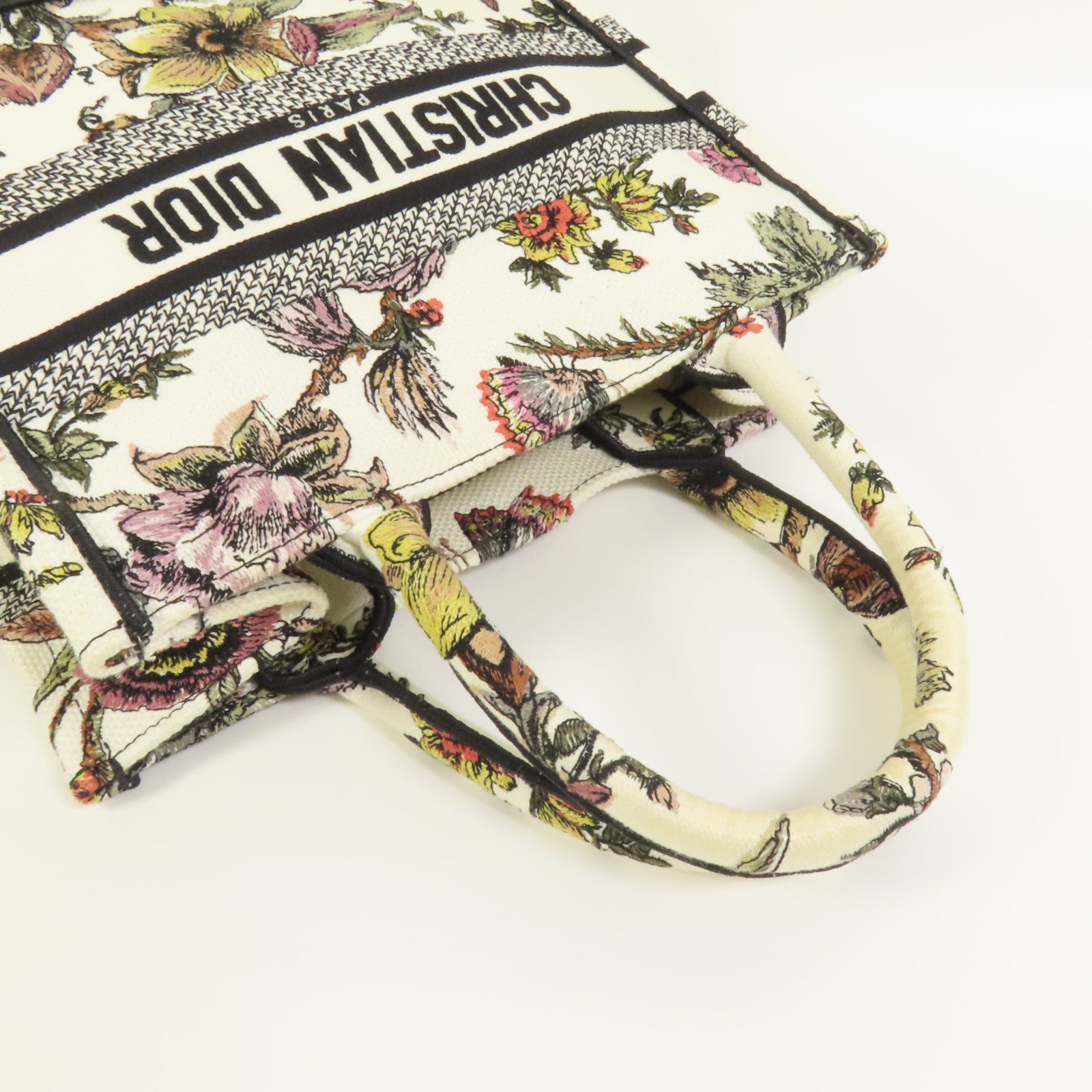 Dior 帆布Book Tote Small手挽袋