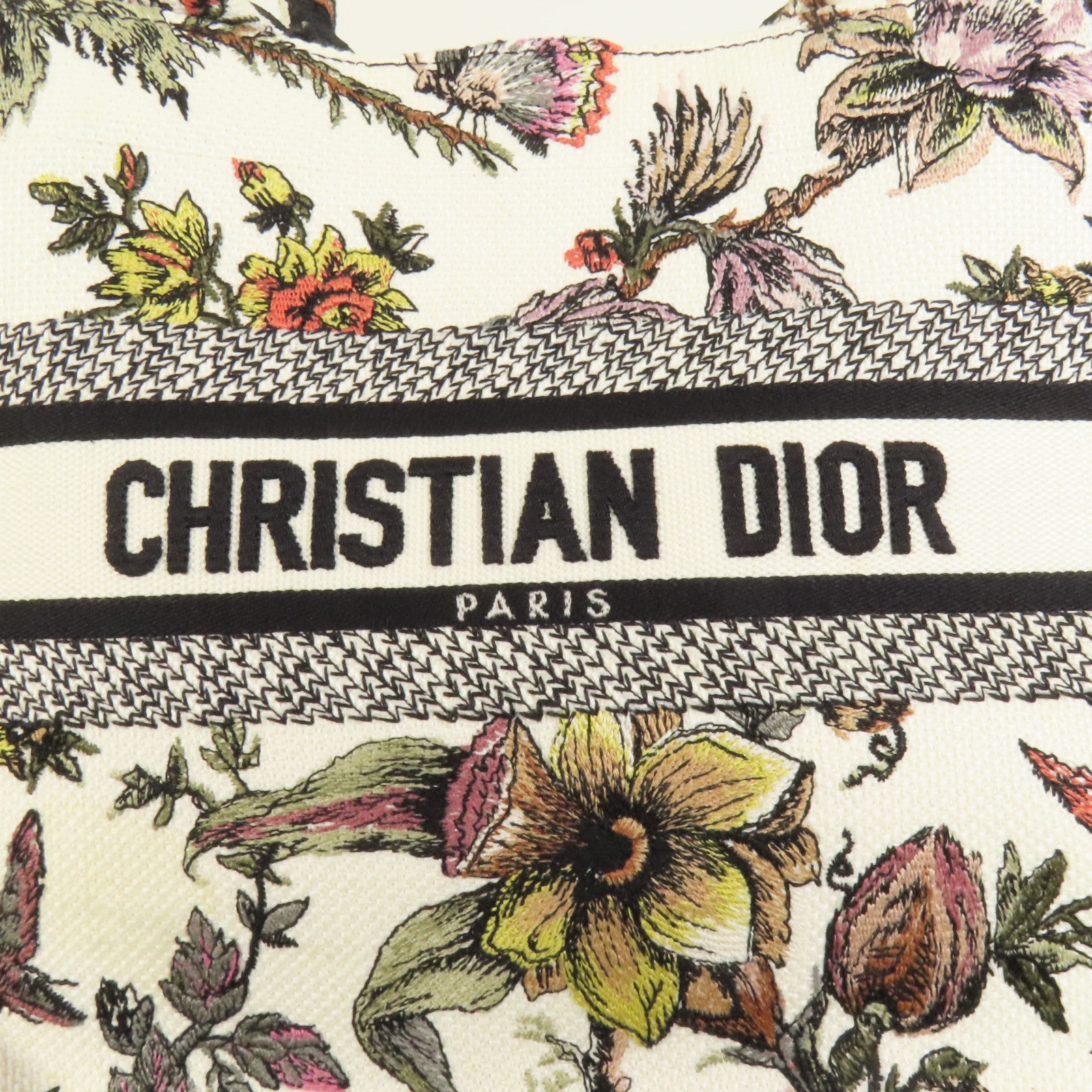 Dior 帆布Book Tote Small手挽袋