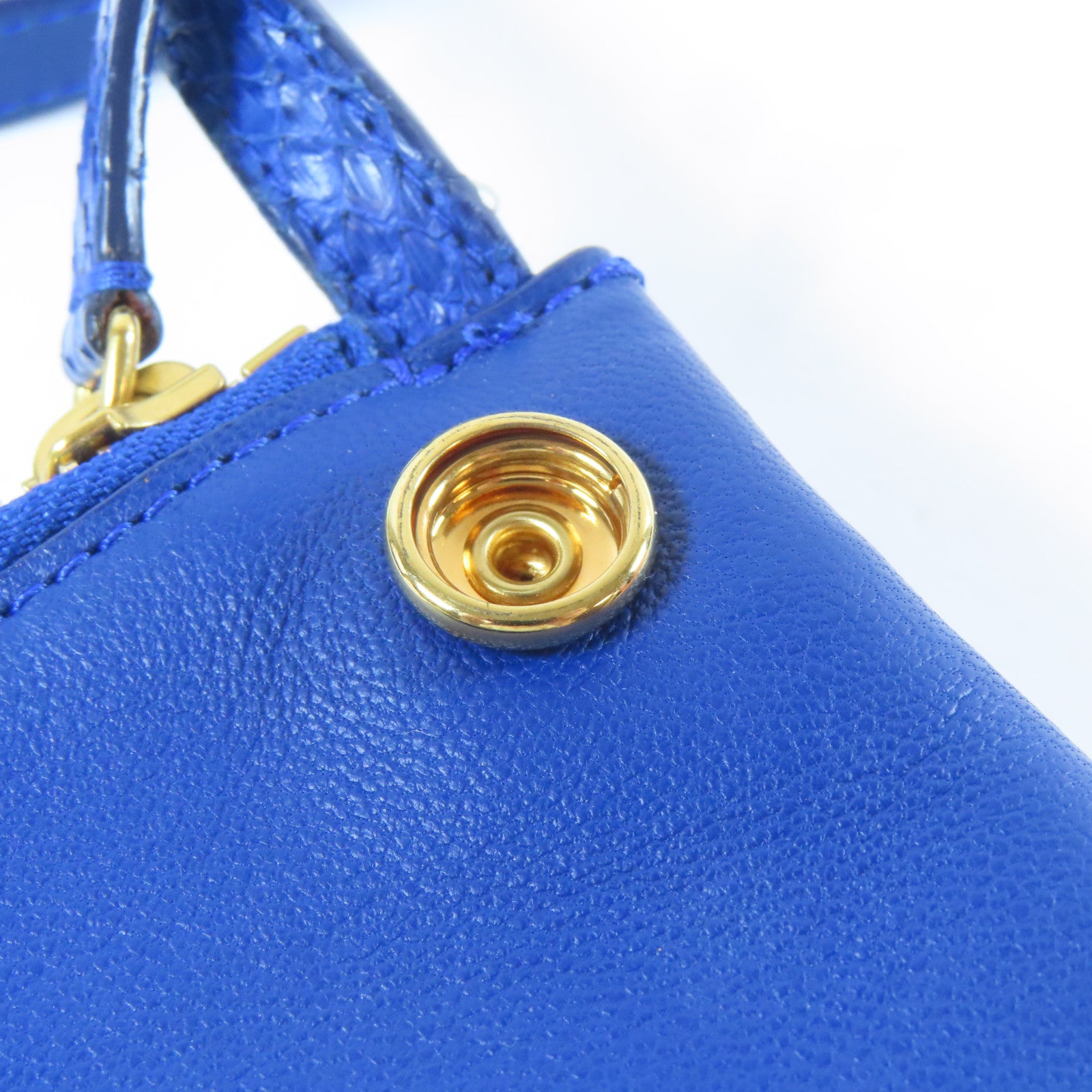 CELINE 蛇皮皮革Trio金扣肩背袋藍色