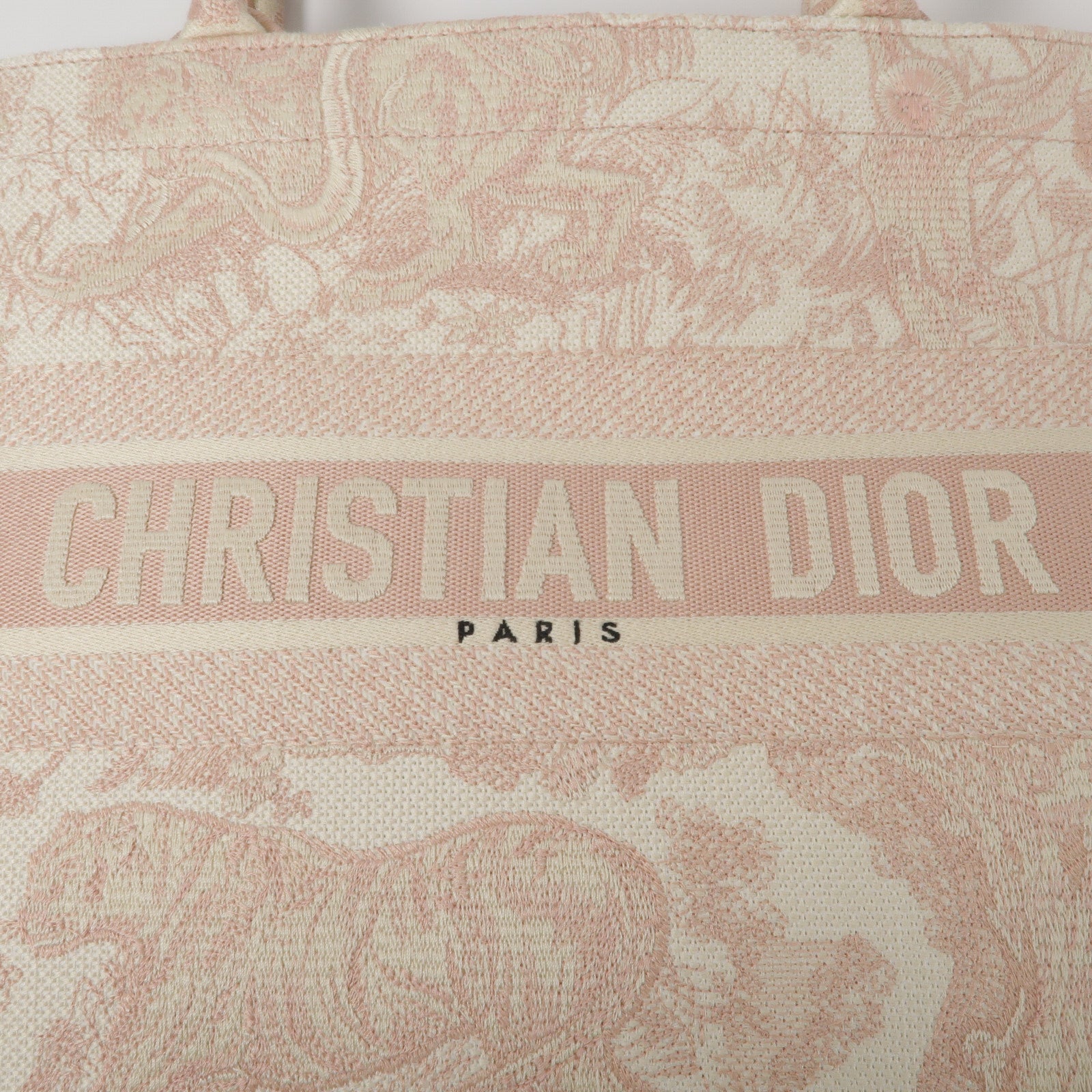 Dior 帆布Book Tote Medium手挽袋