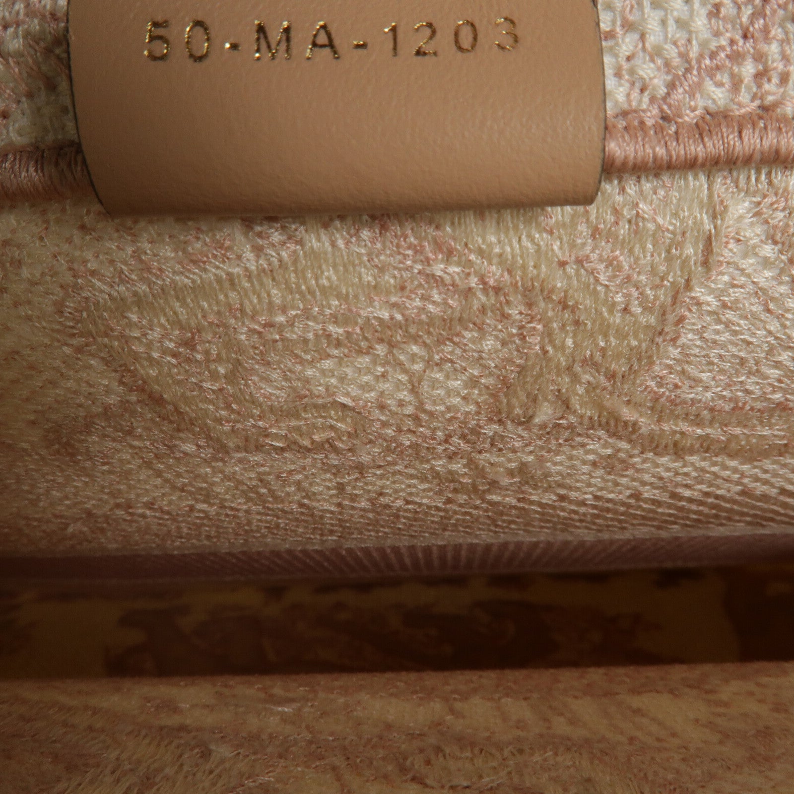 Dior 帆布Book Tote Medium手挽袋