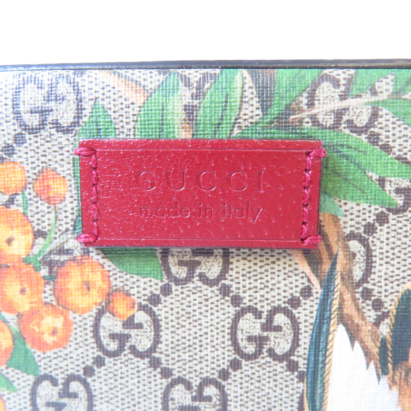 GUCCI 塗層帆布Shoulder Bag銀扣肩背袋啡色/紅色