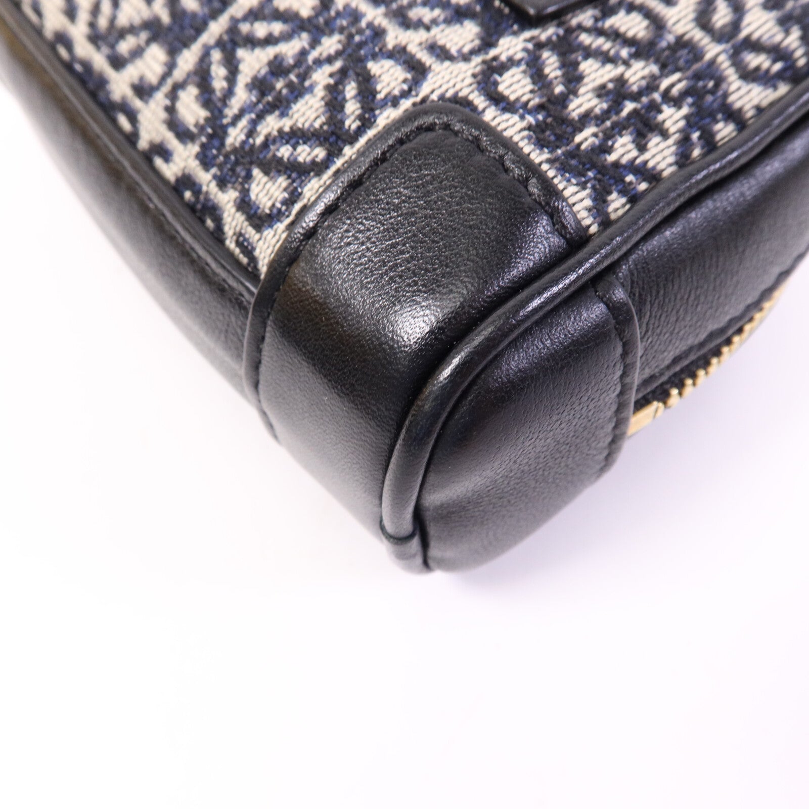 LOEWE 帆布Amazona Nano金扣鏈帶手挽肩背袋兩用袋